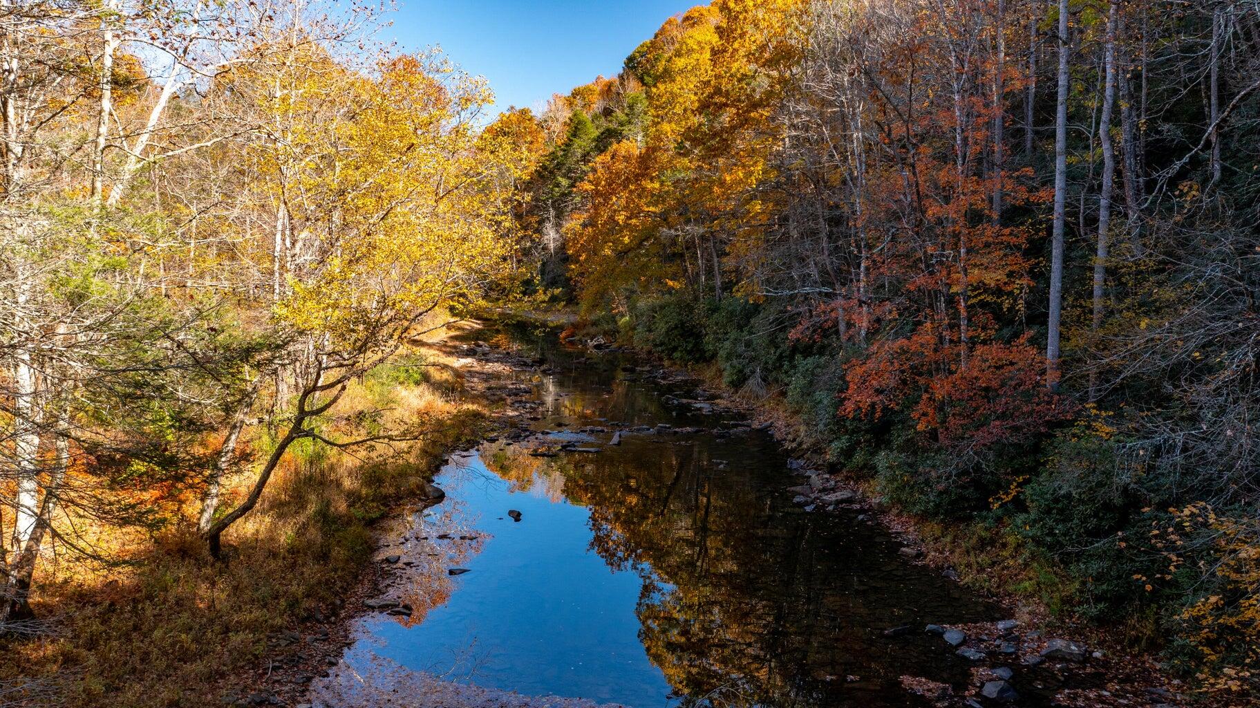 Island Property, Marlinton, West Virginia image 19