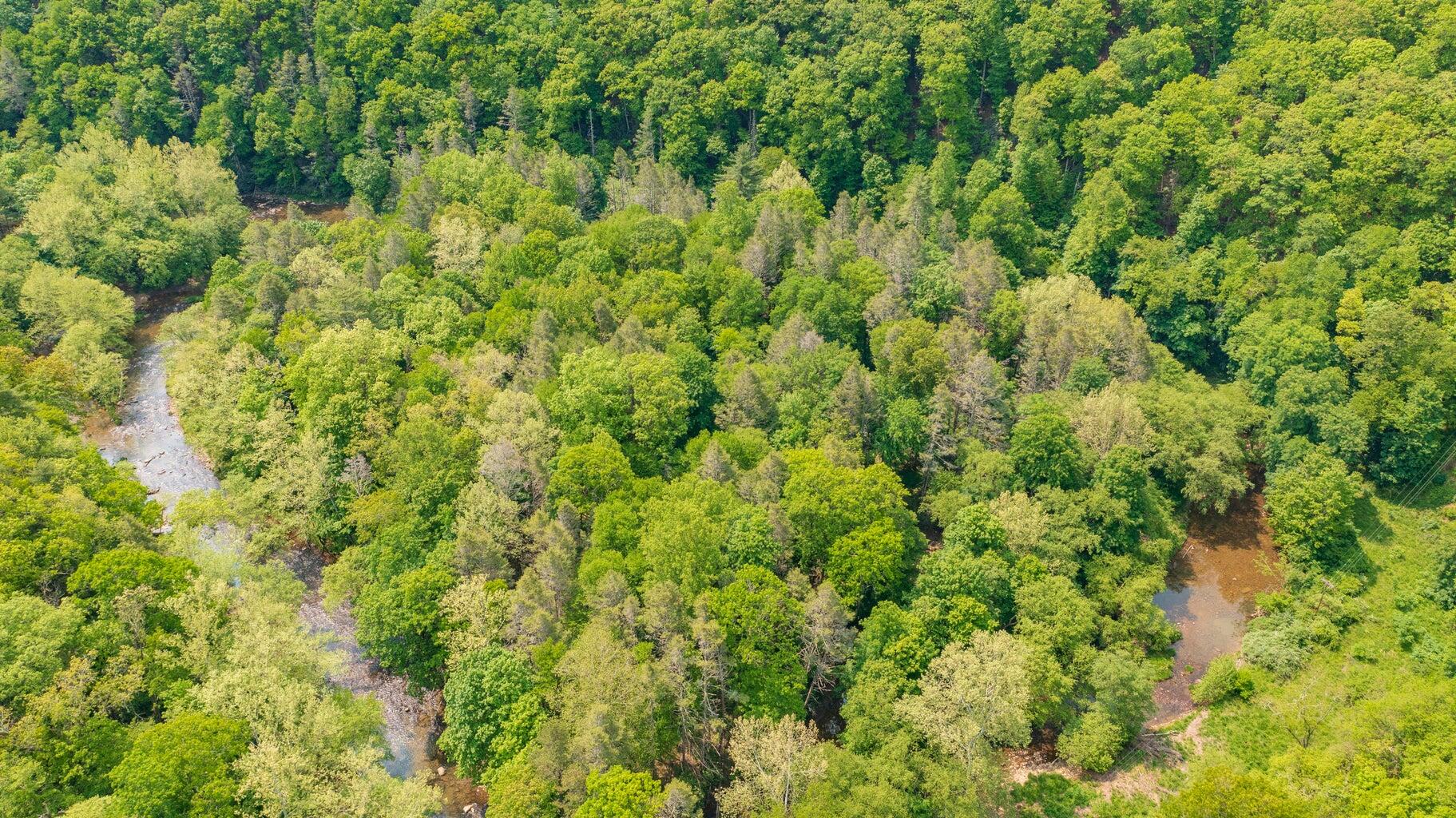 Island Property, Marlinton, West Virginia image 18