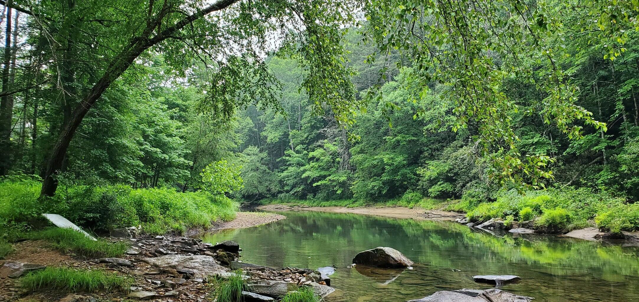 Island Property, Marlinton, West Virginia image 20