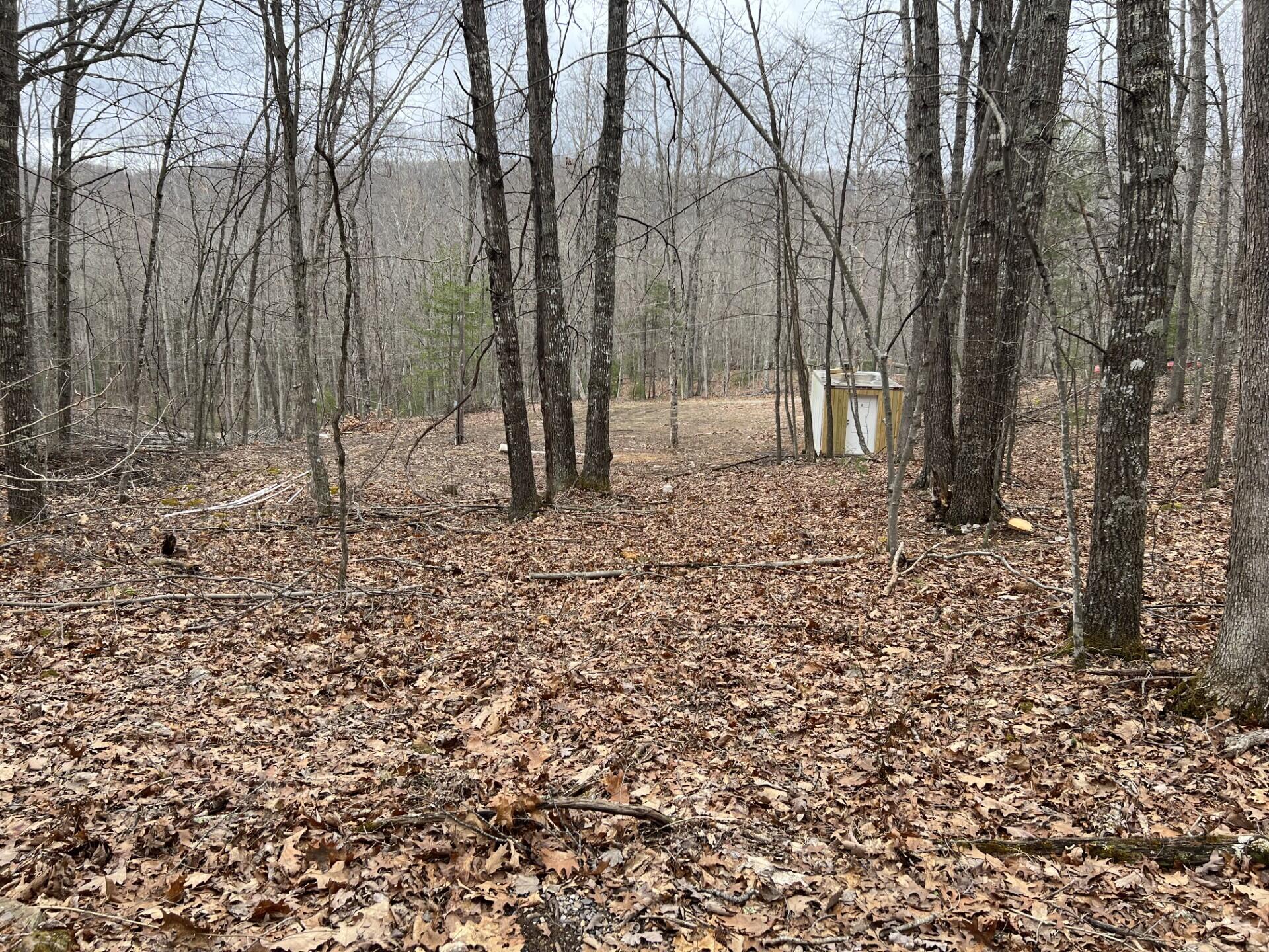 Rattle Snake Rd, Gap Mills, West Virginia image 7