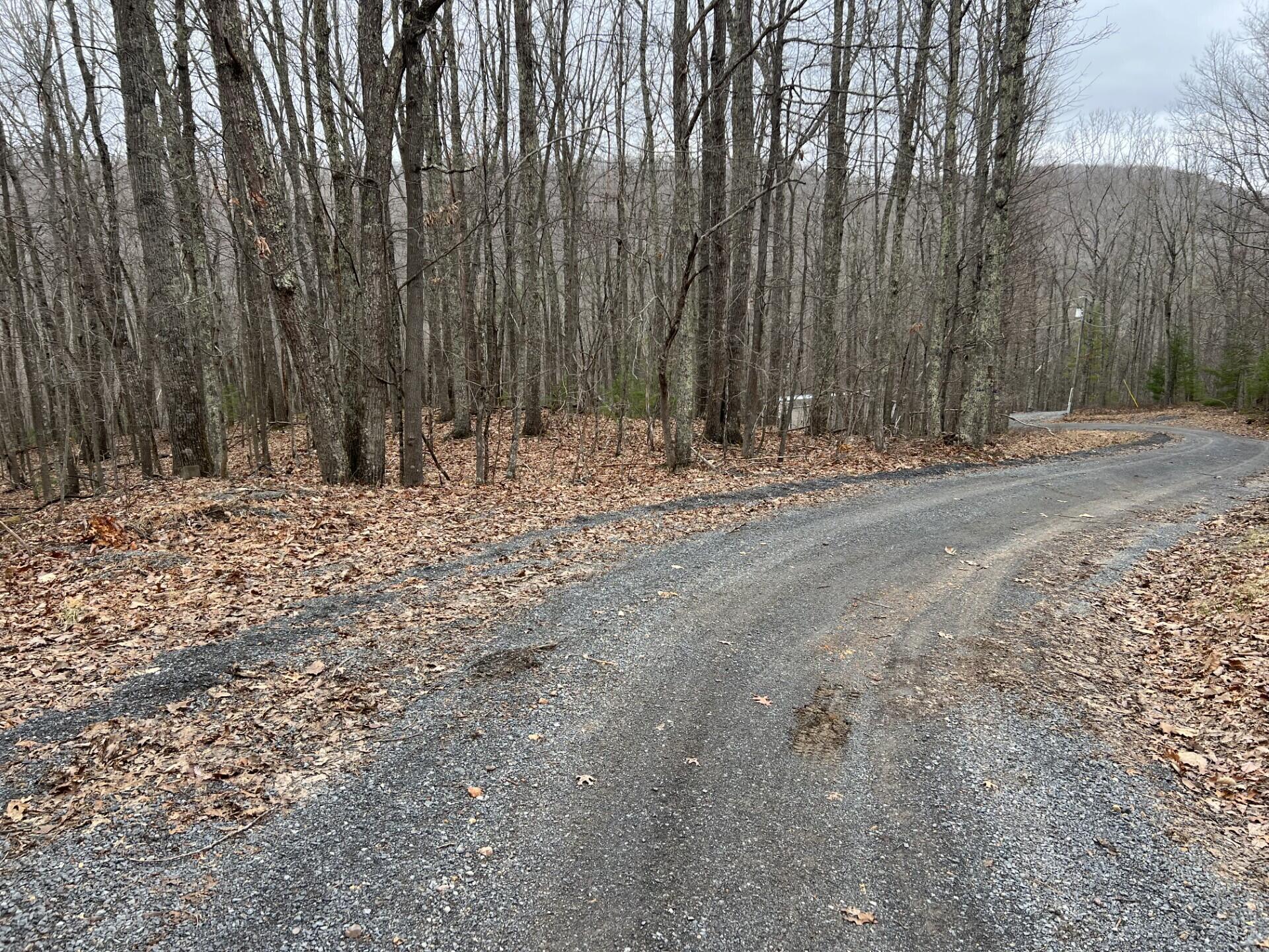 Rattle Snake Rd, Gap Mills, West Virginia image 5