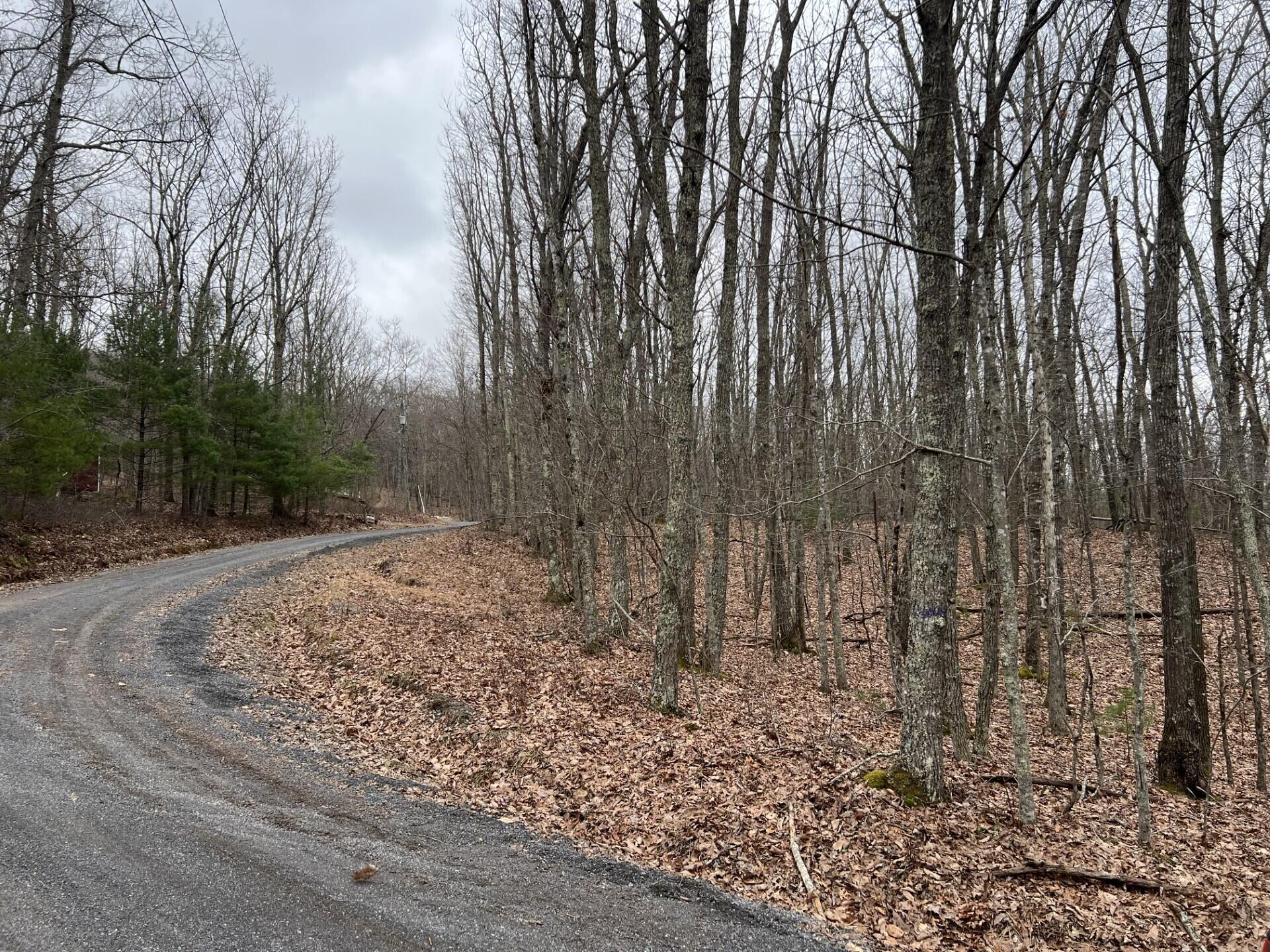 Rattle Snake Rd, Gap Mills, West Virginia image 4