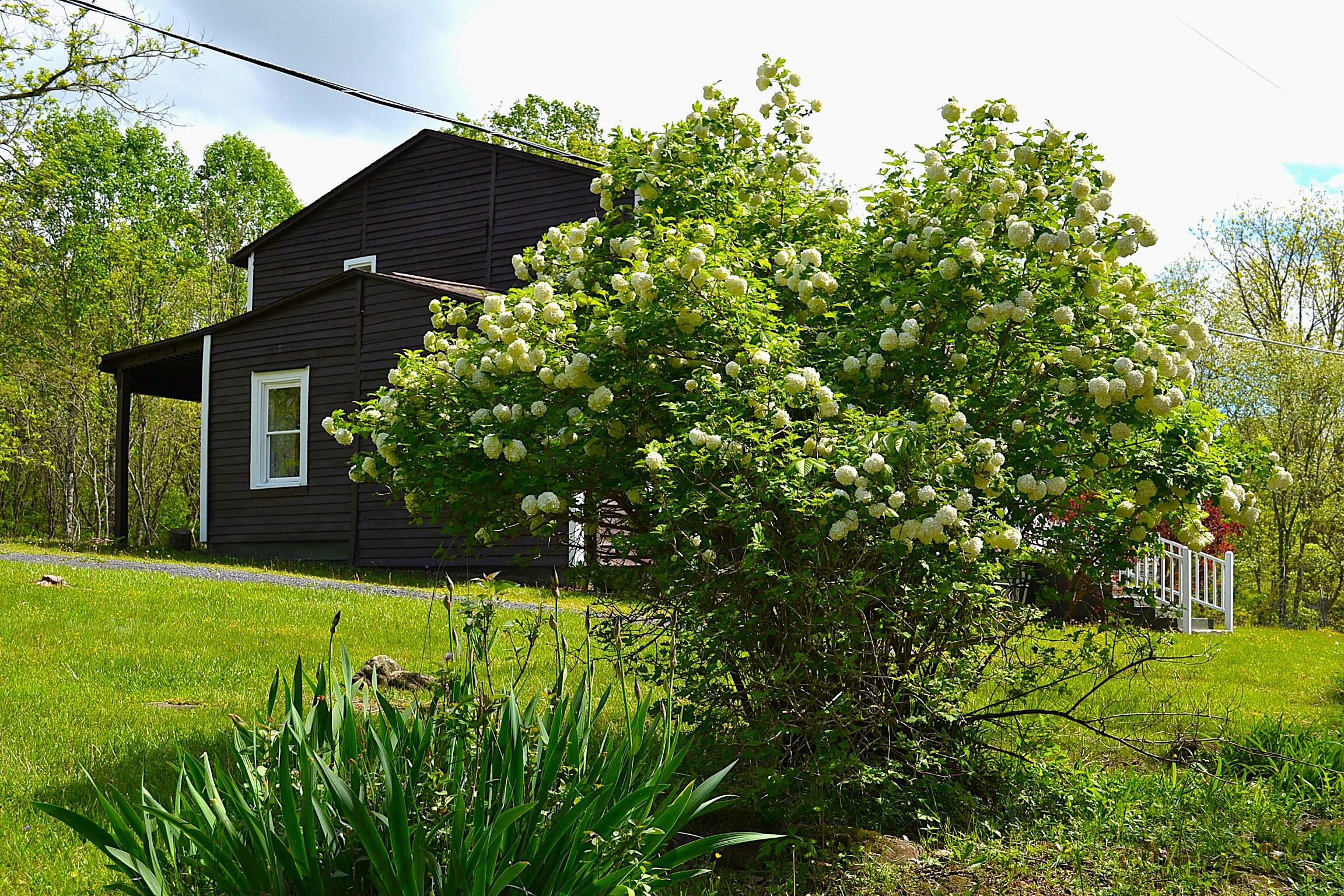 4250 Julia Rd, Renick, Idaho image 15