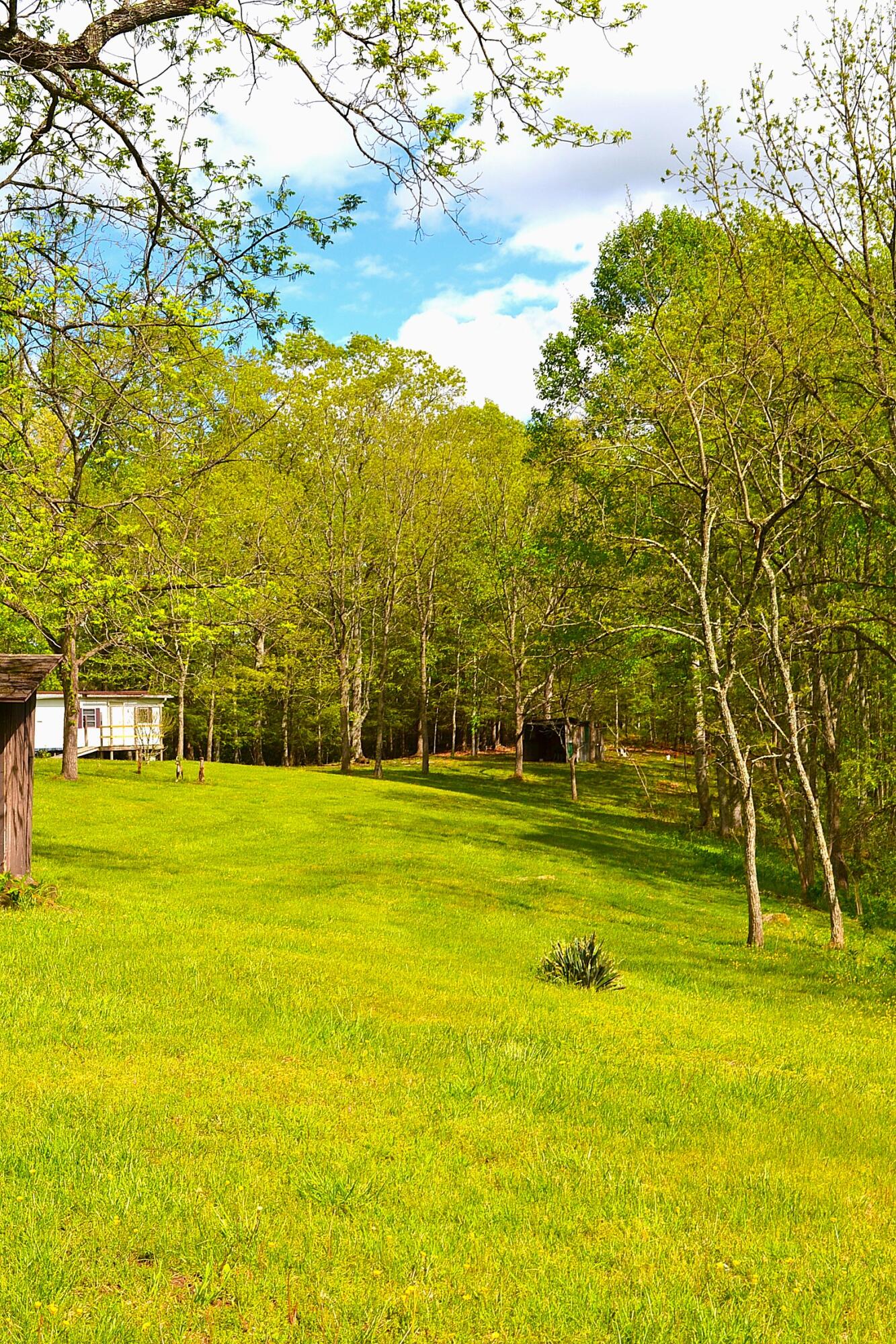 4250 Julia Rd, Renick, Idaho image 18