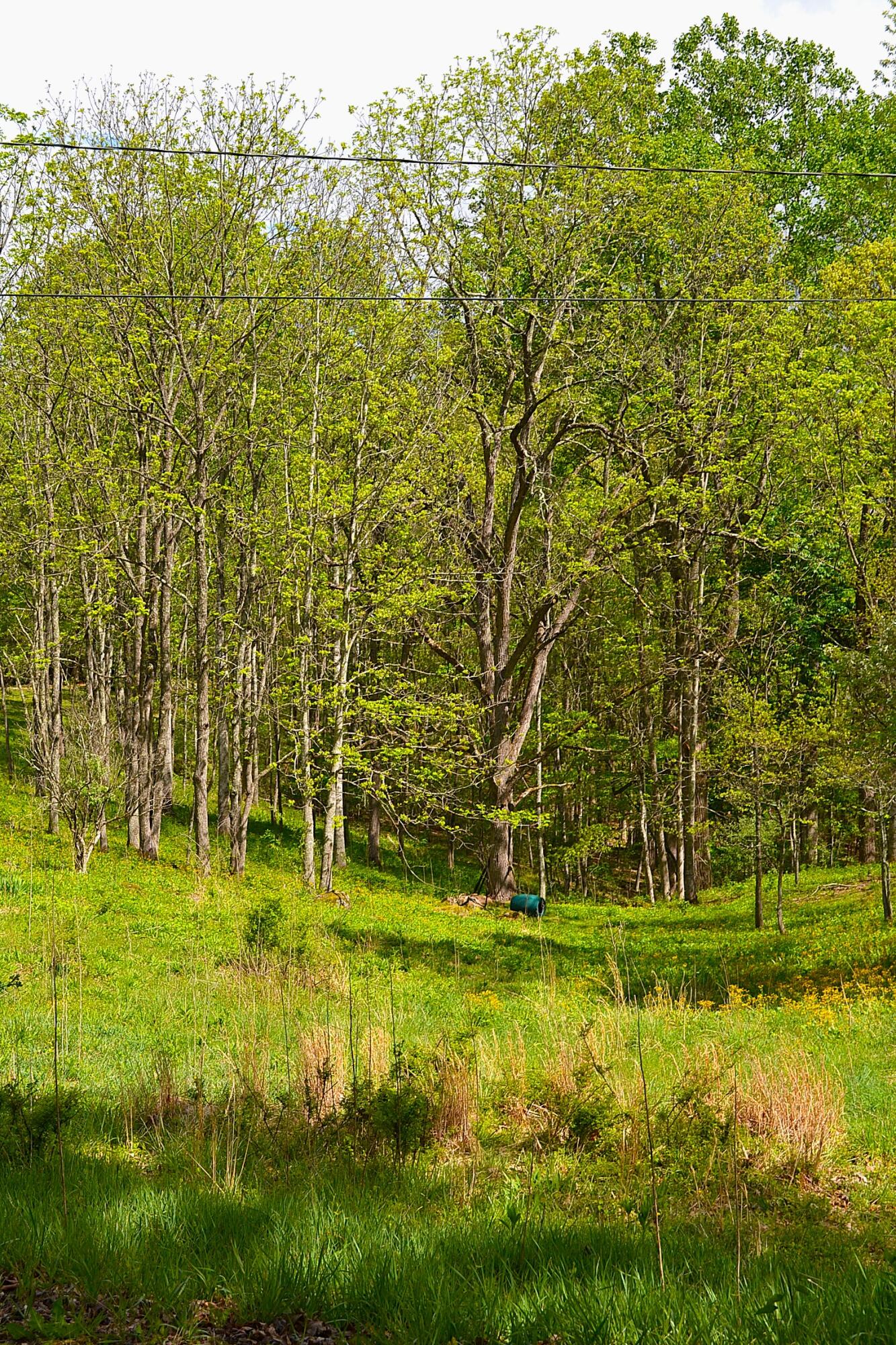 4250 Julia Rd, Renick, Idaho image 14