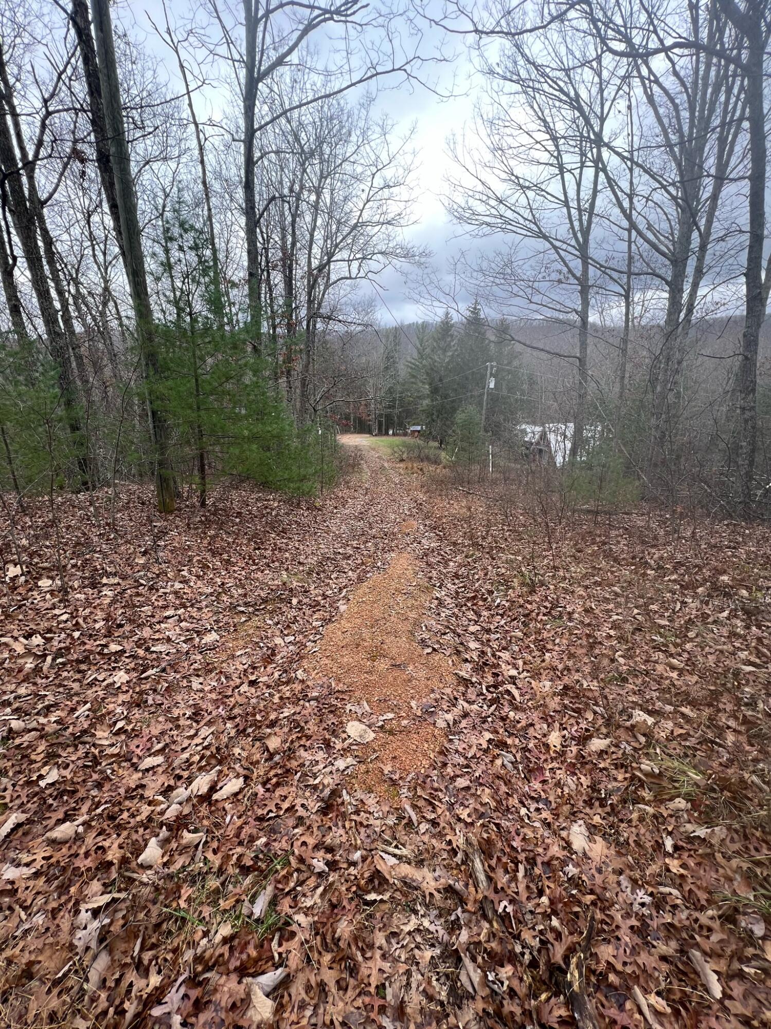 Wildcat Hill Rd, Gap Mills, West Virginia image 35