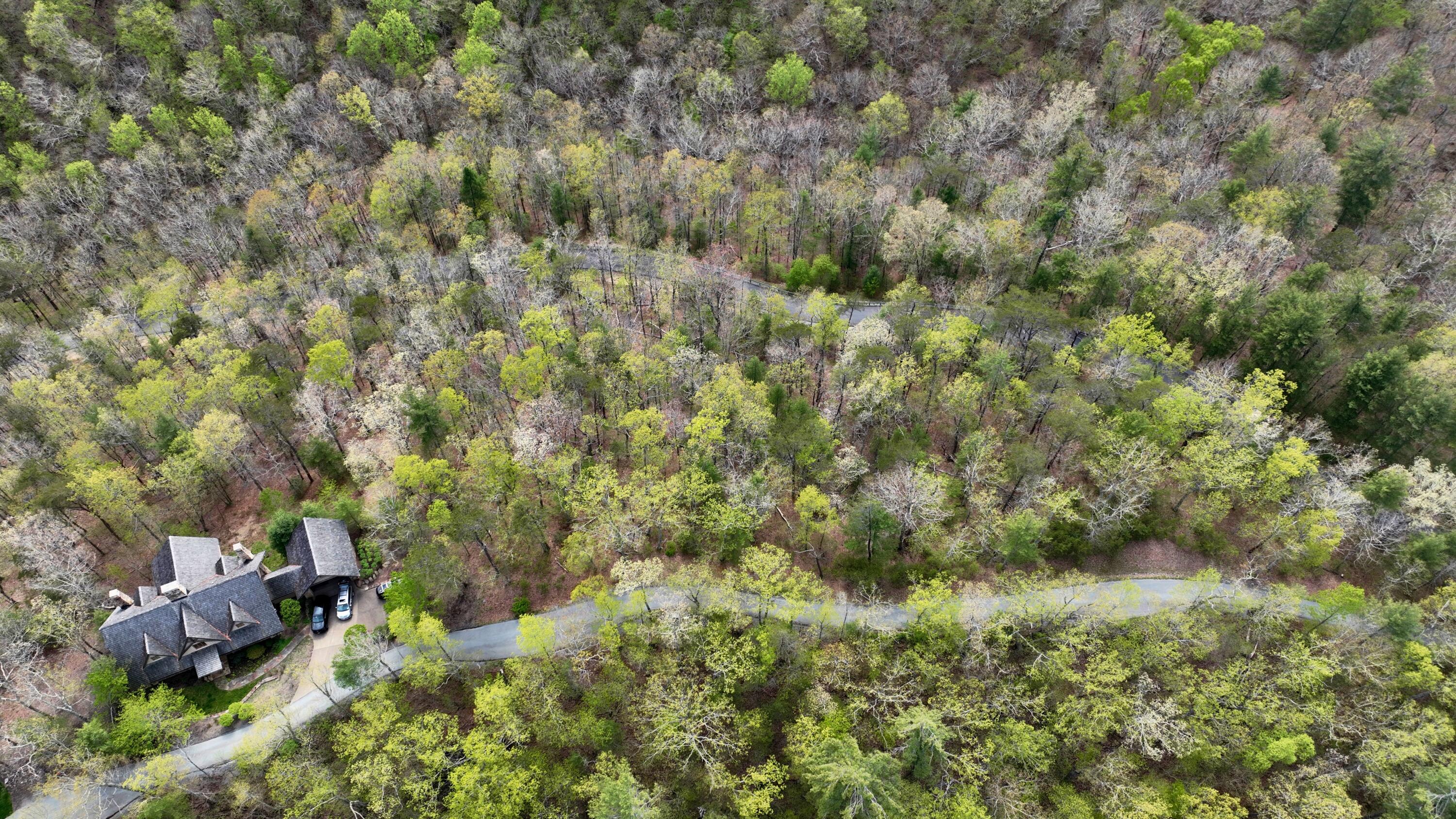 186 E Van Buren Rdg #LOT 24, White Sulphur Springs, West Virginia image 11