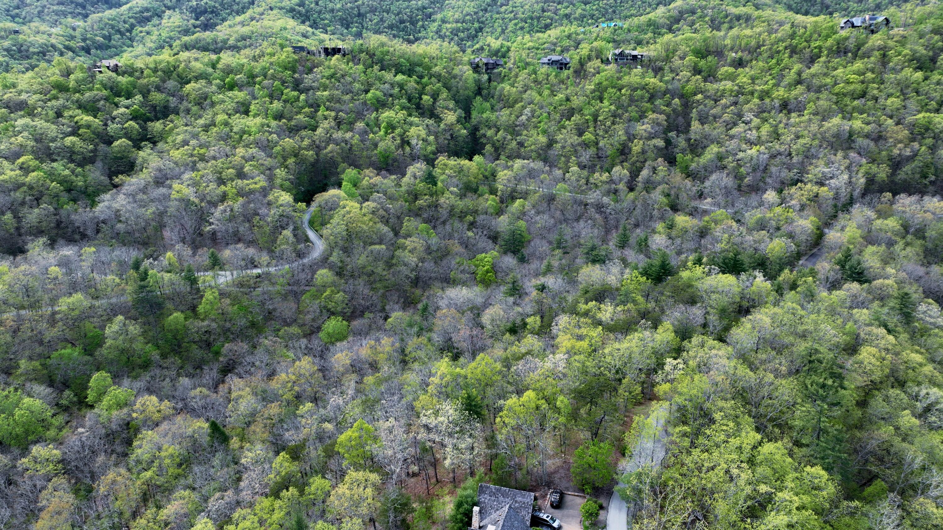 186 E Van Buren Rdg #LOT 24, White Sulphur Springs, West Virginia image 9