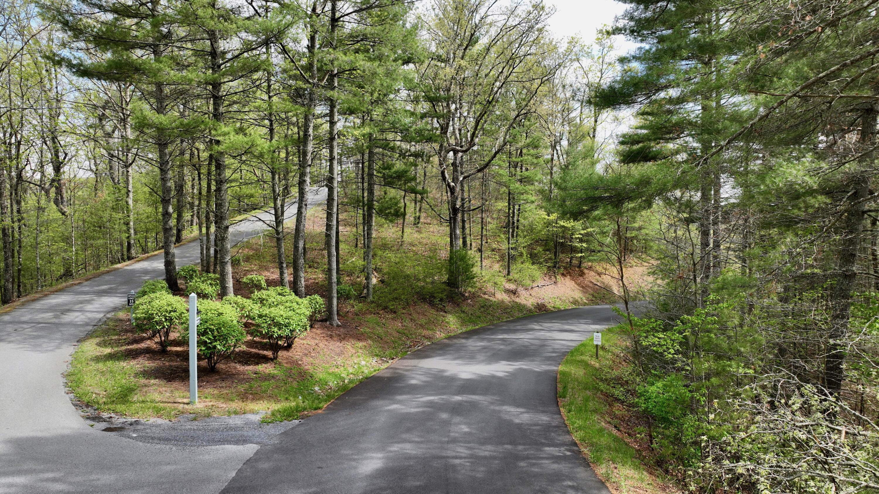 186 E Van Buren Rdg #LOT 24, White Sulphur Springs, West Virginia image 3