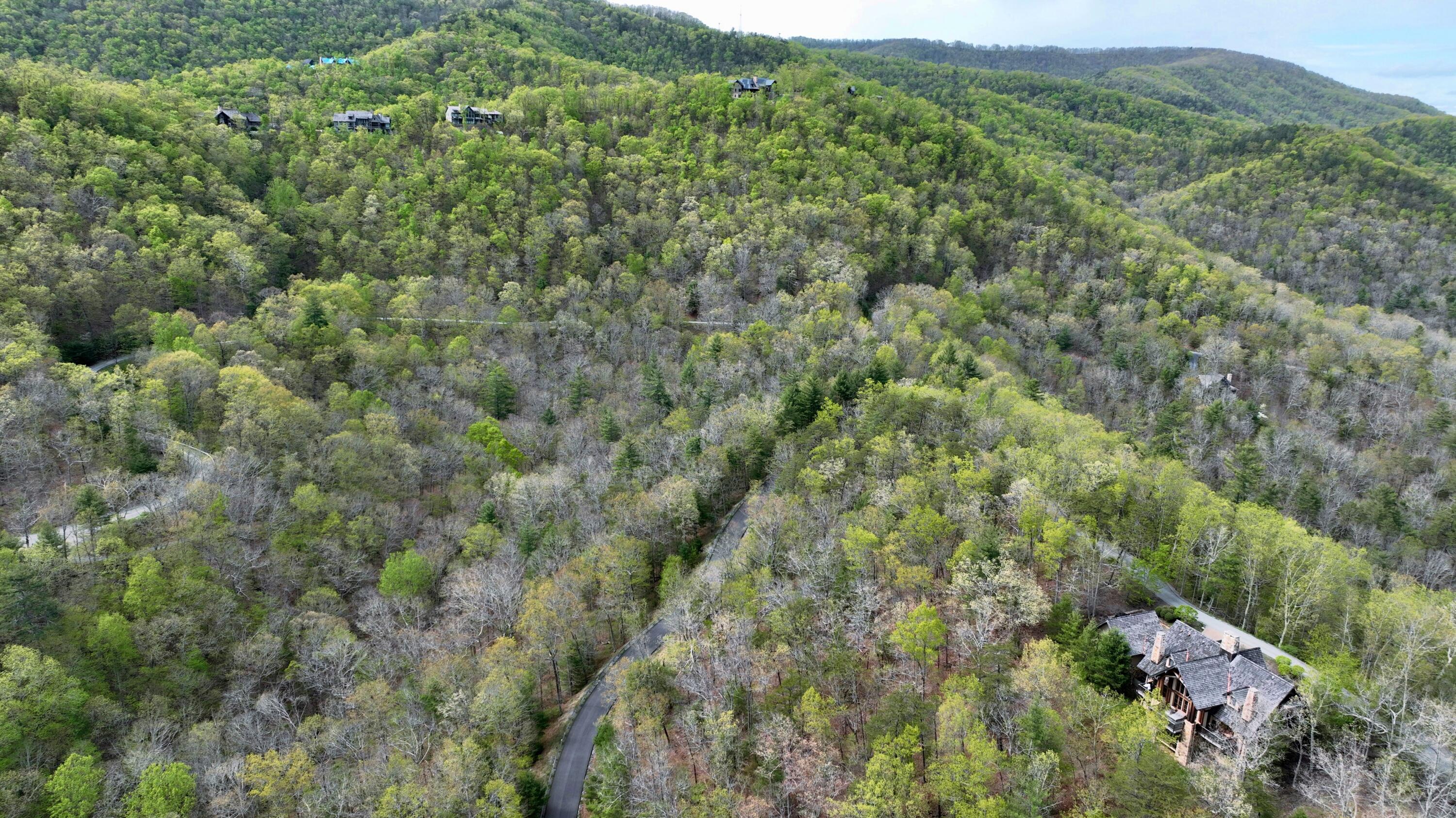 186 E Van Buren Rdg #LOT 24, White Sulphur Springs, West Virginia image 8