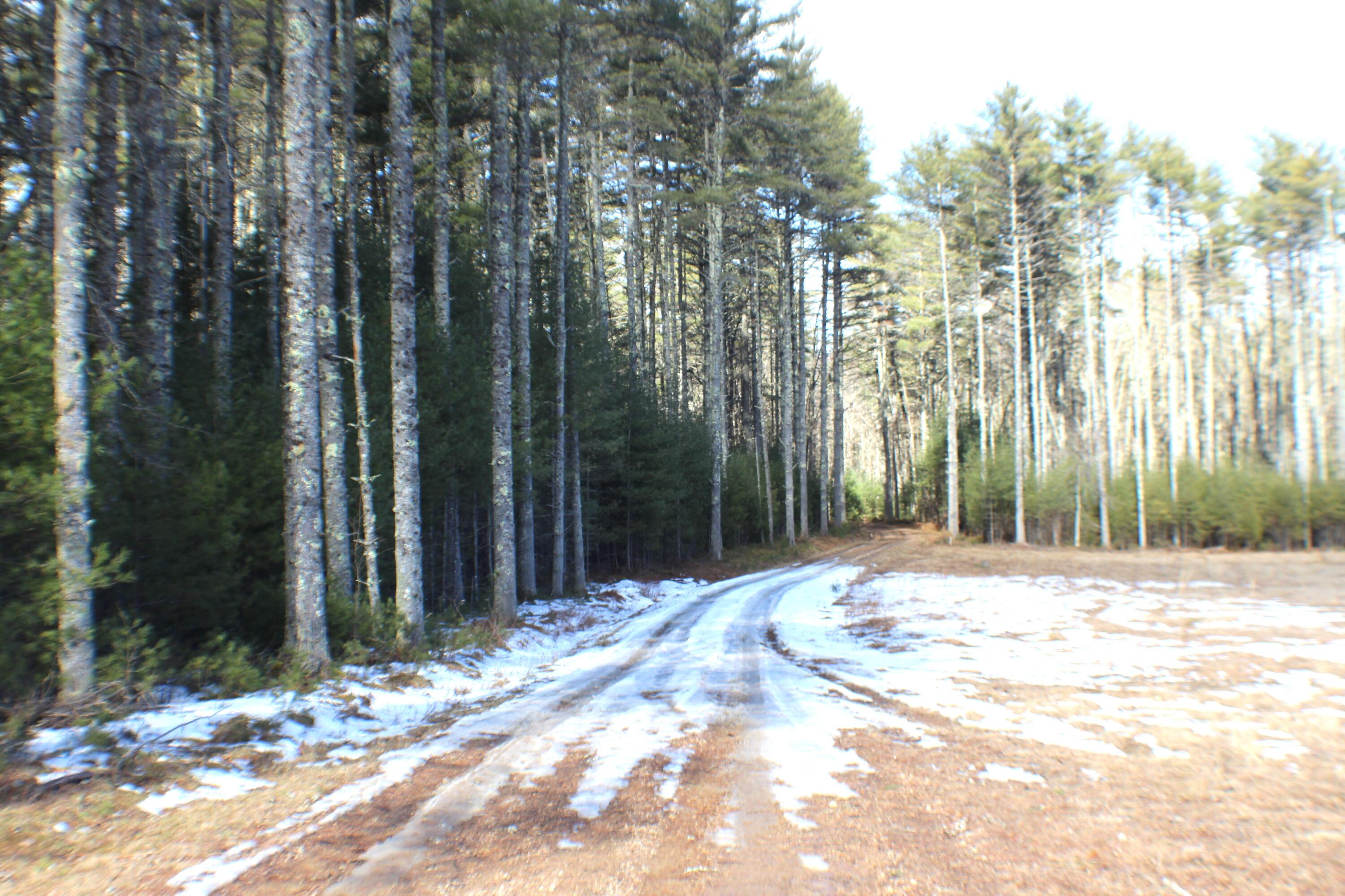 Lot 10 NW Beaver Lick Mtn Retreat Road, Marlinton, West Virginia image 7