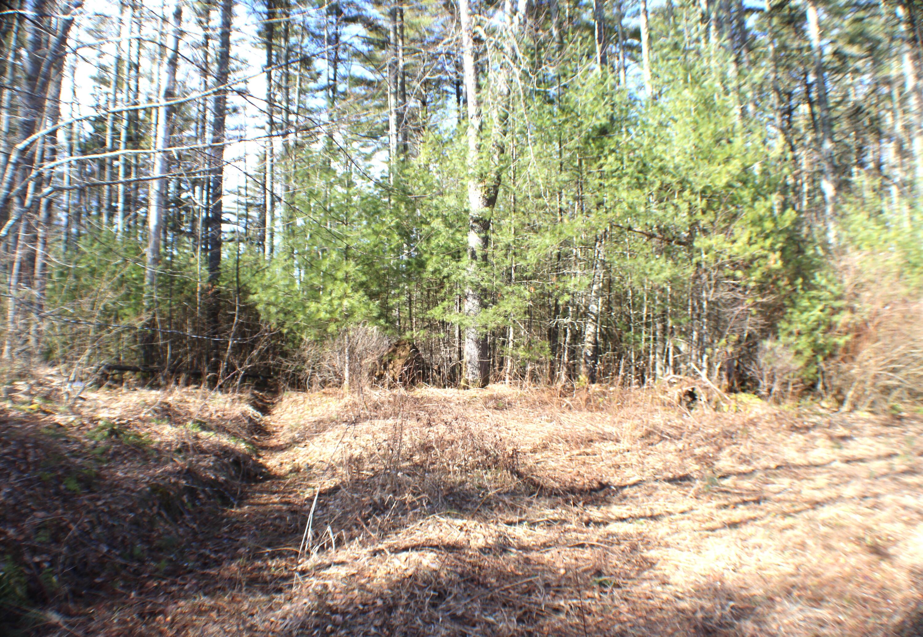 Lot 10 NW Beaver Lick Mtn Retreat Road, Marlinton, West Virginia image 3