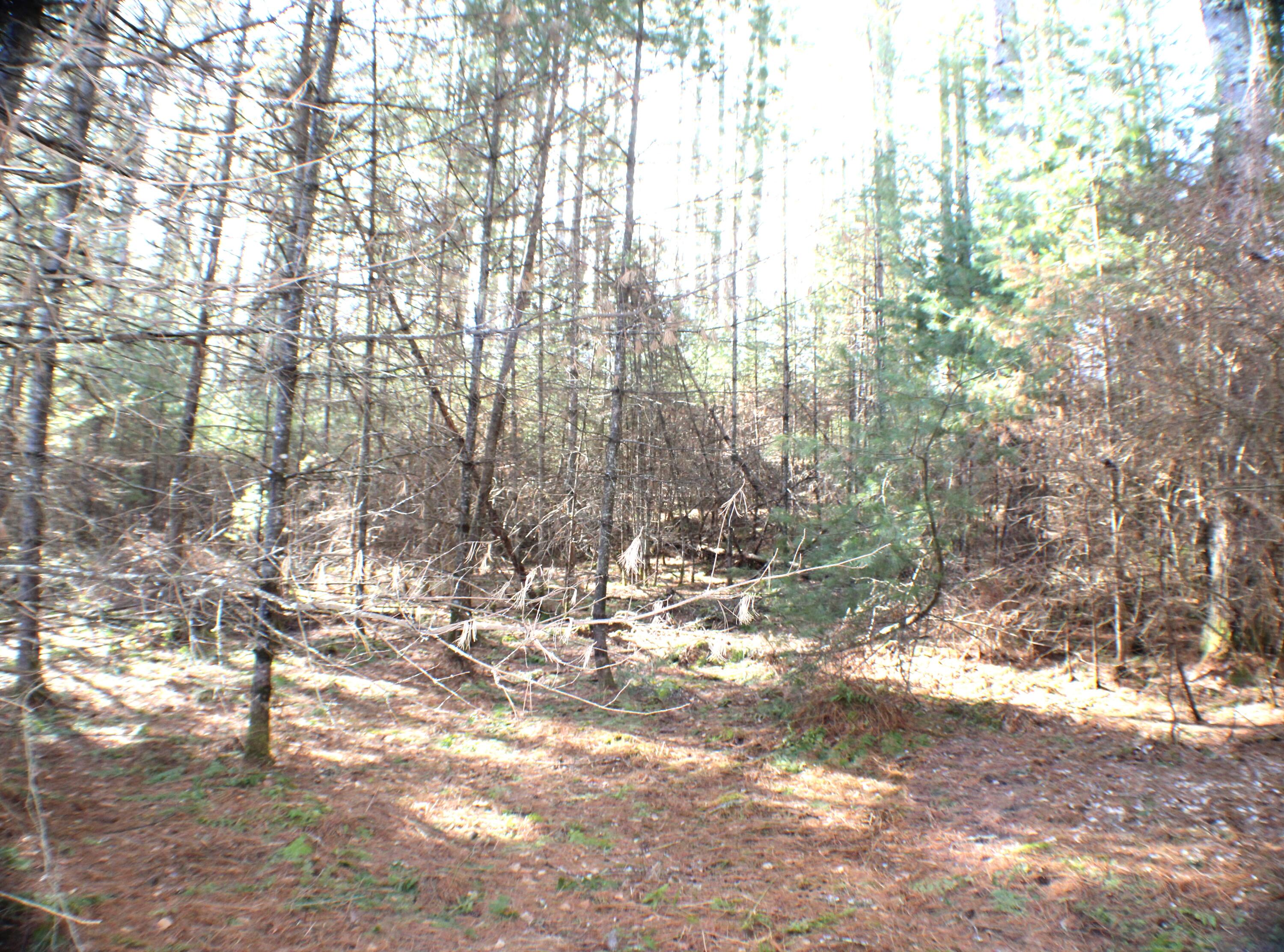 Lot 10 NW Beaver Lick Mtn Retreat Road, Marlinton, West Virginia image 6