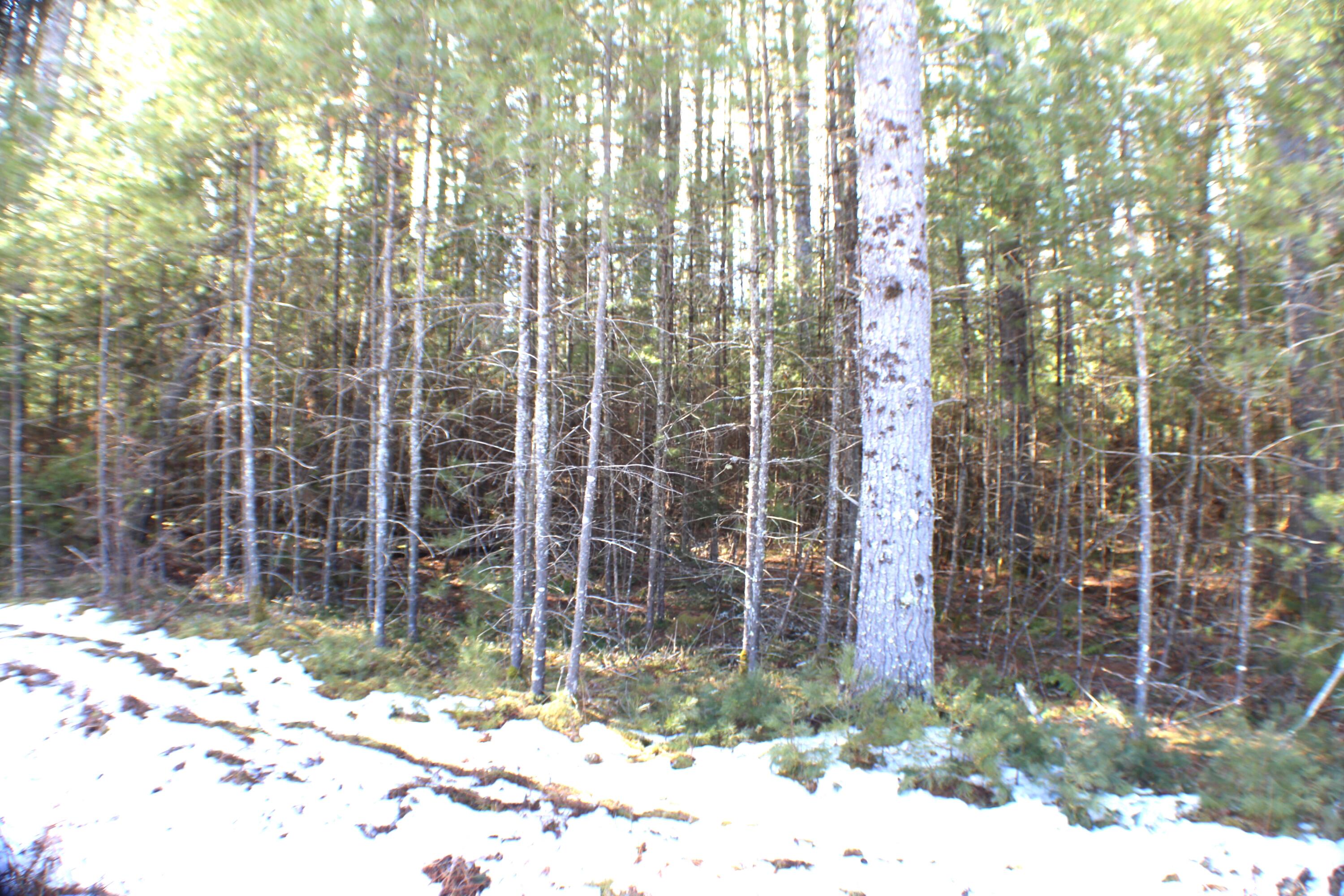 Lot 10 NW Beaver Lick Mtn Retreat Road, Marlinton, West Virginia image 5