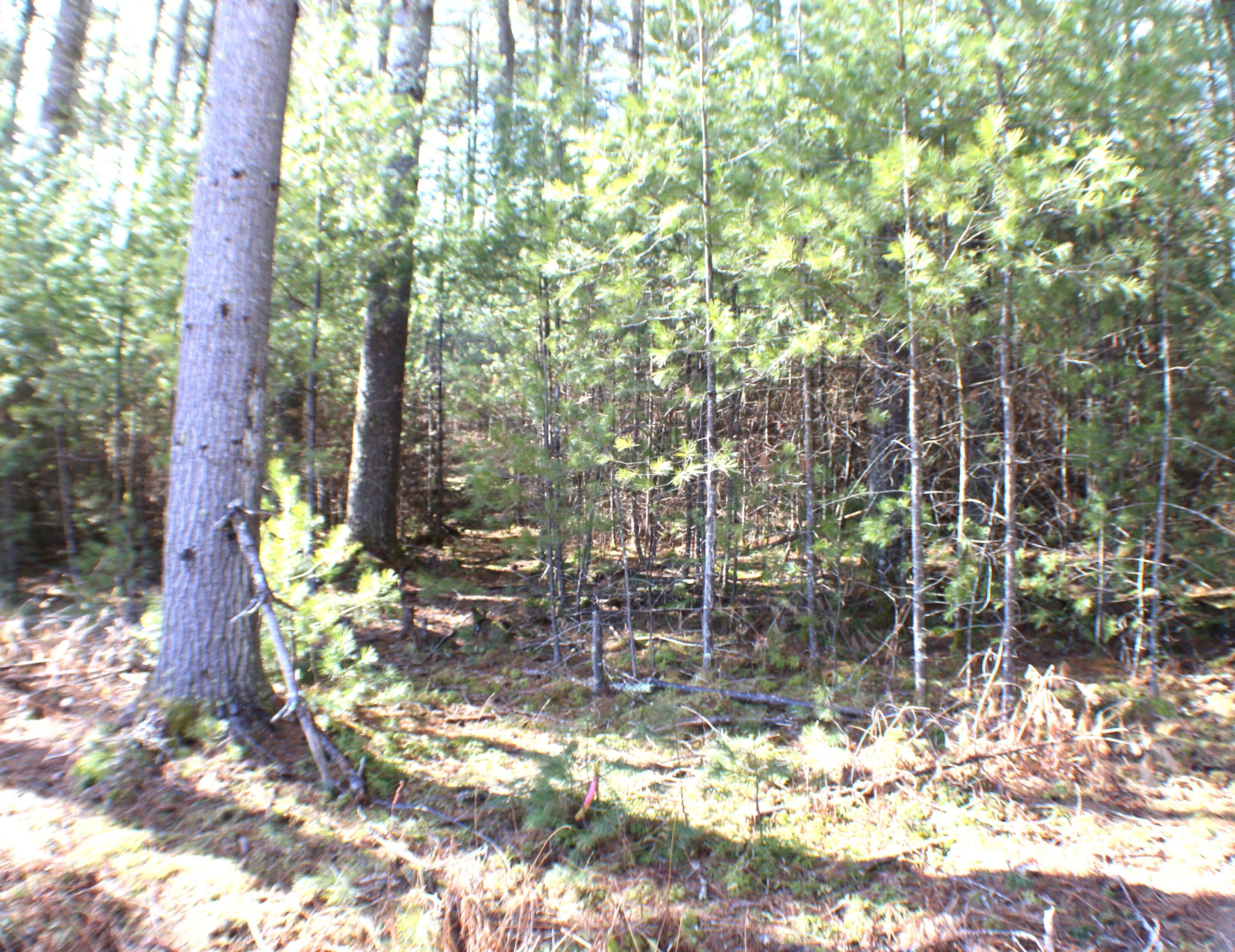 Lot 10 NW Beaver Lick Mtn Retreat Road, Marlinton, West Virginia image 2