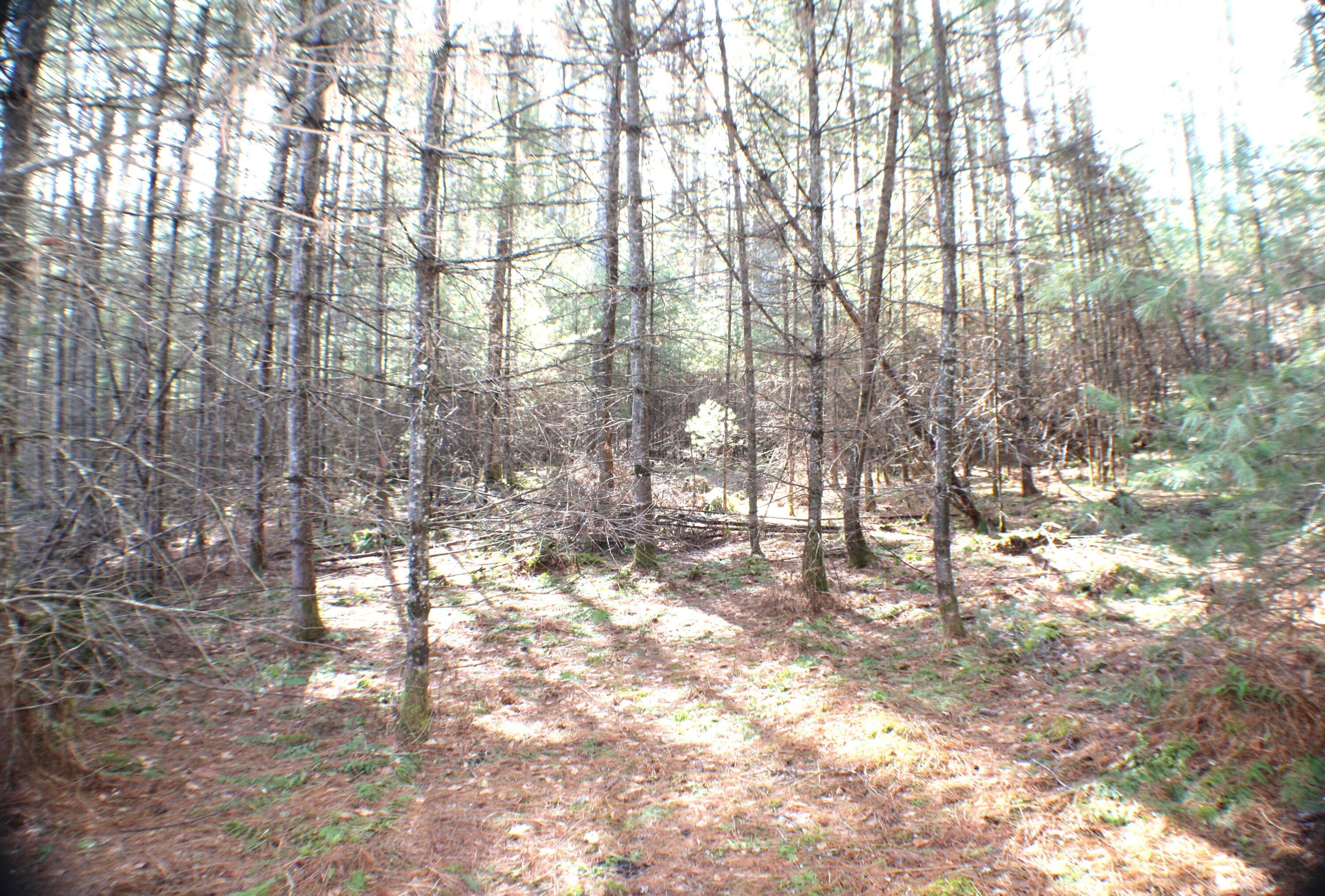 Lot 10 NW Beaver Lick Mtn Retreat Road, Marlinton, West Virginia image 1