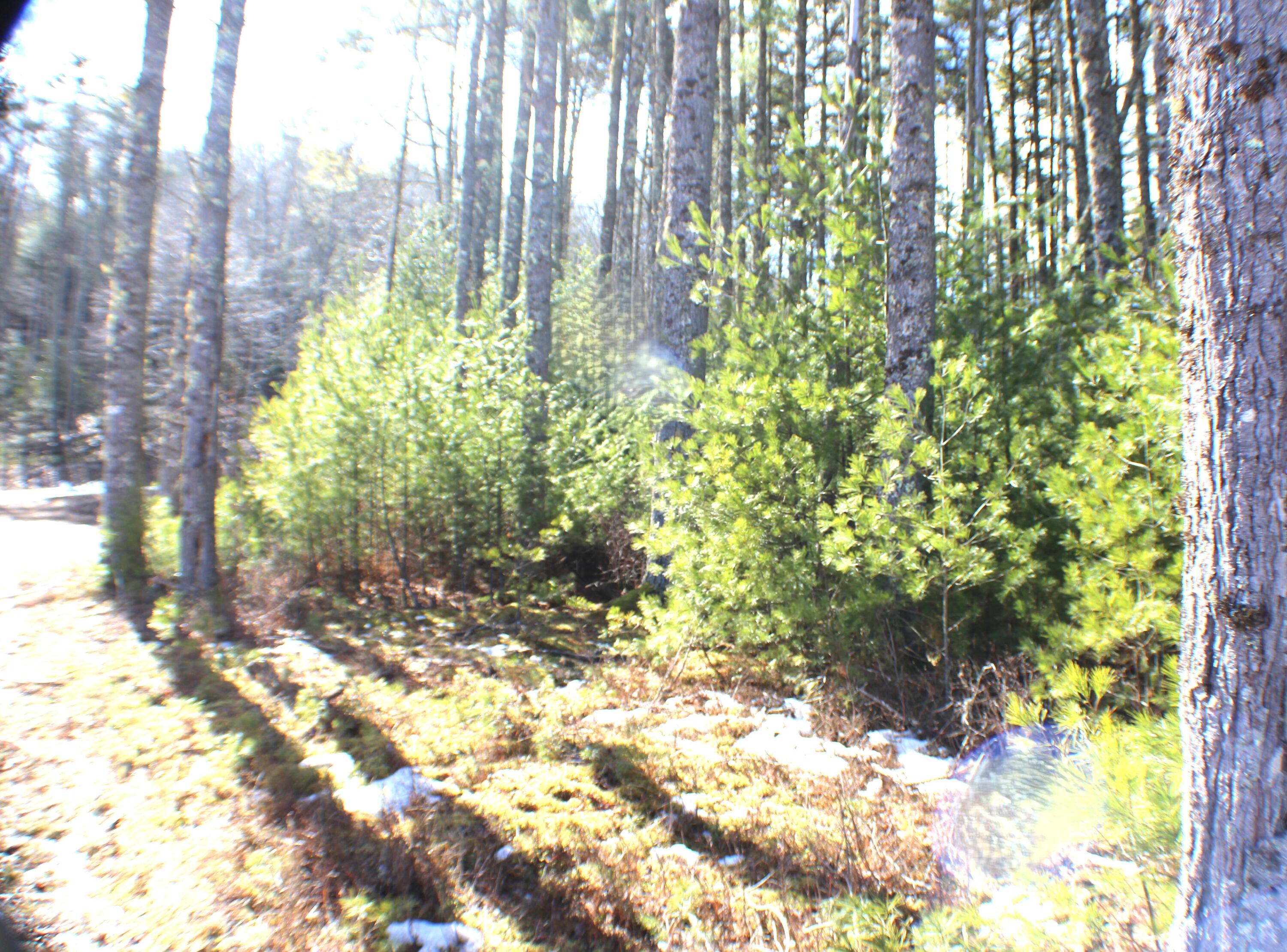 Lot 10 NW Beaver Lick Mtn Retreat Road, Marlinton, West Virginia image 4