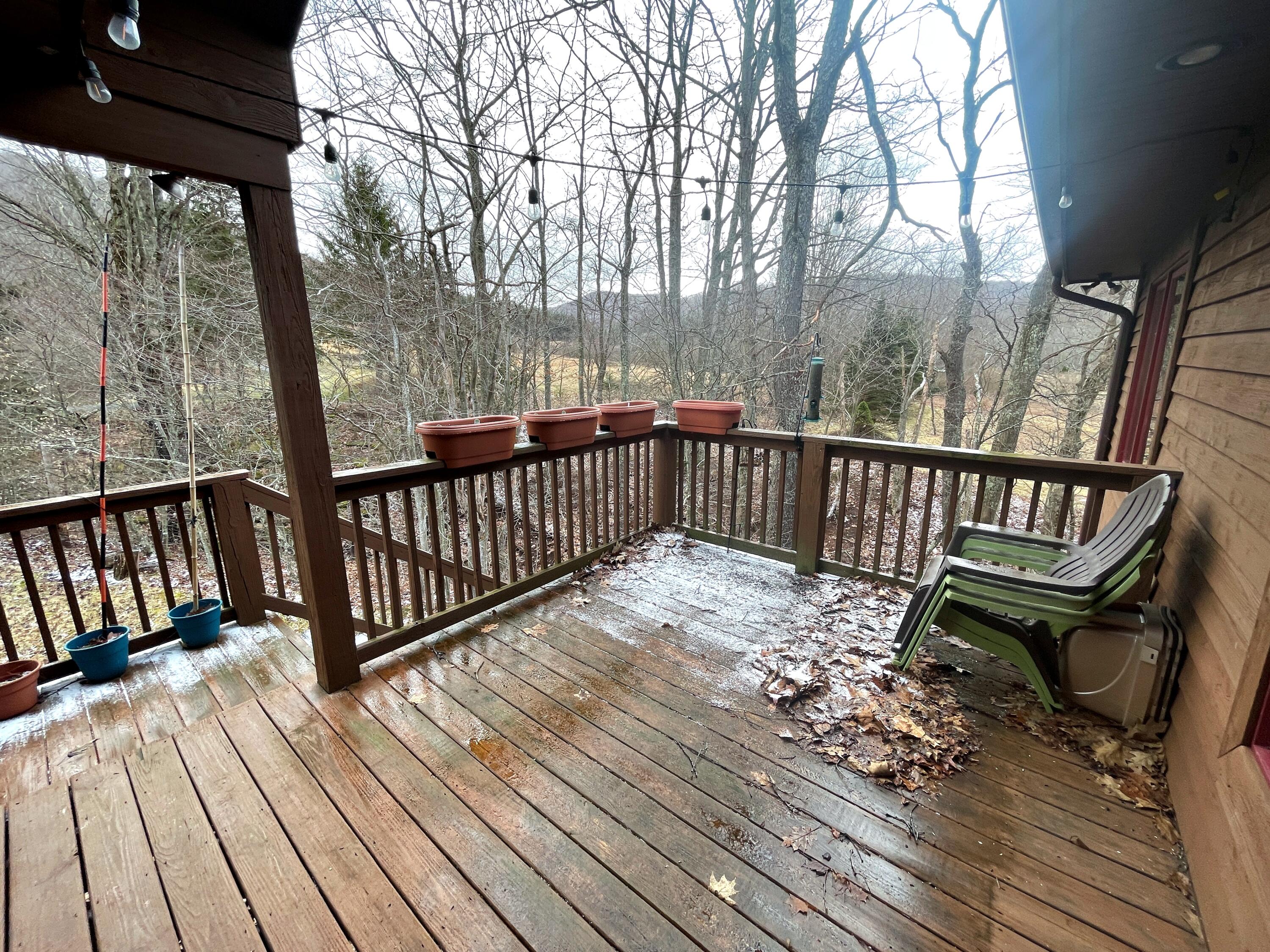 126 The Meadows Ln #7, Snowshoe, West Virginia image 47