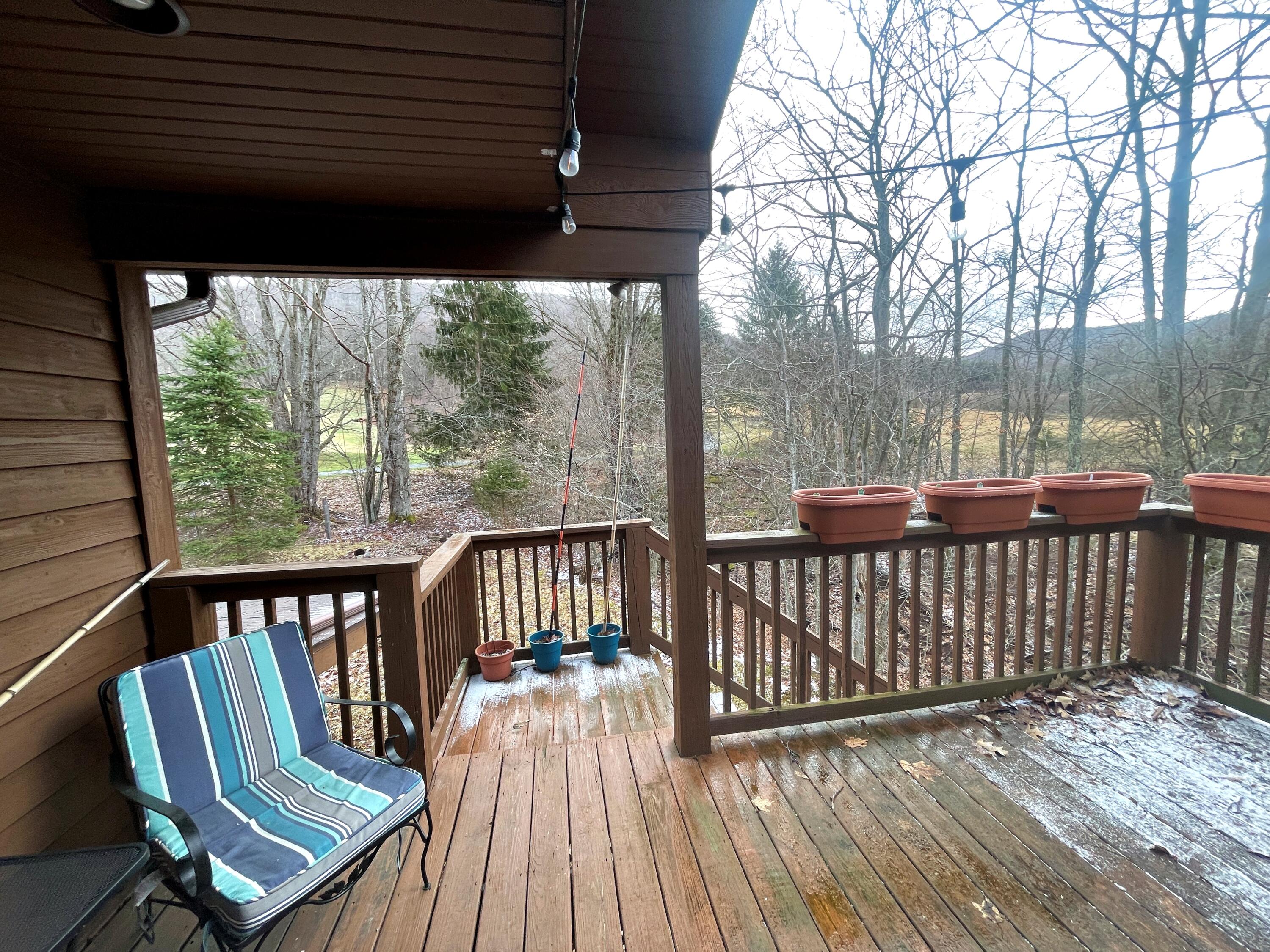 126 The Meadows Ln #7, Snowshoe, West Virginia image 46