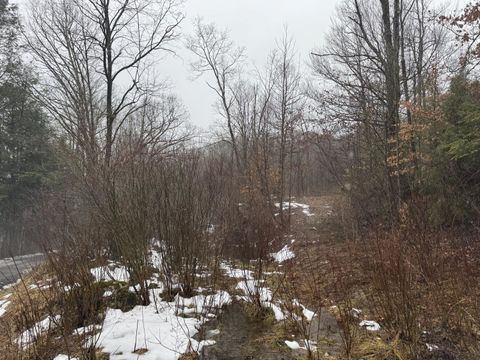 Vacant Land For Sale - 727 Curtain Rd<br/> Craigsville, WV 26205
