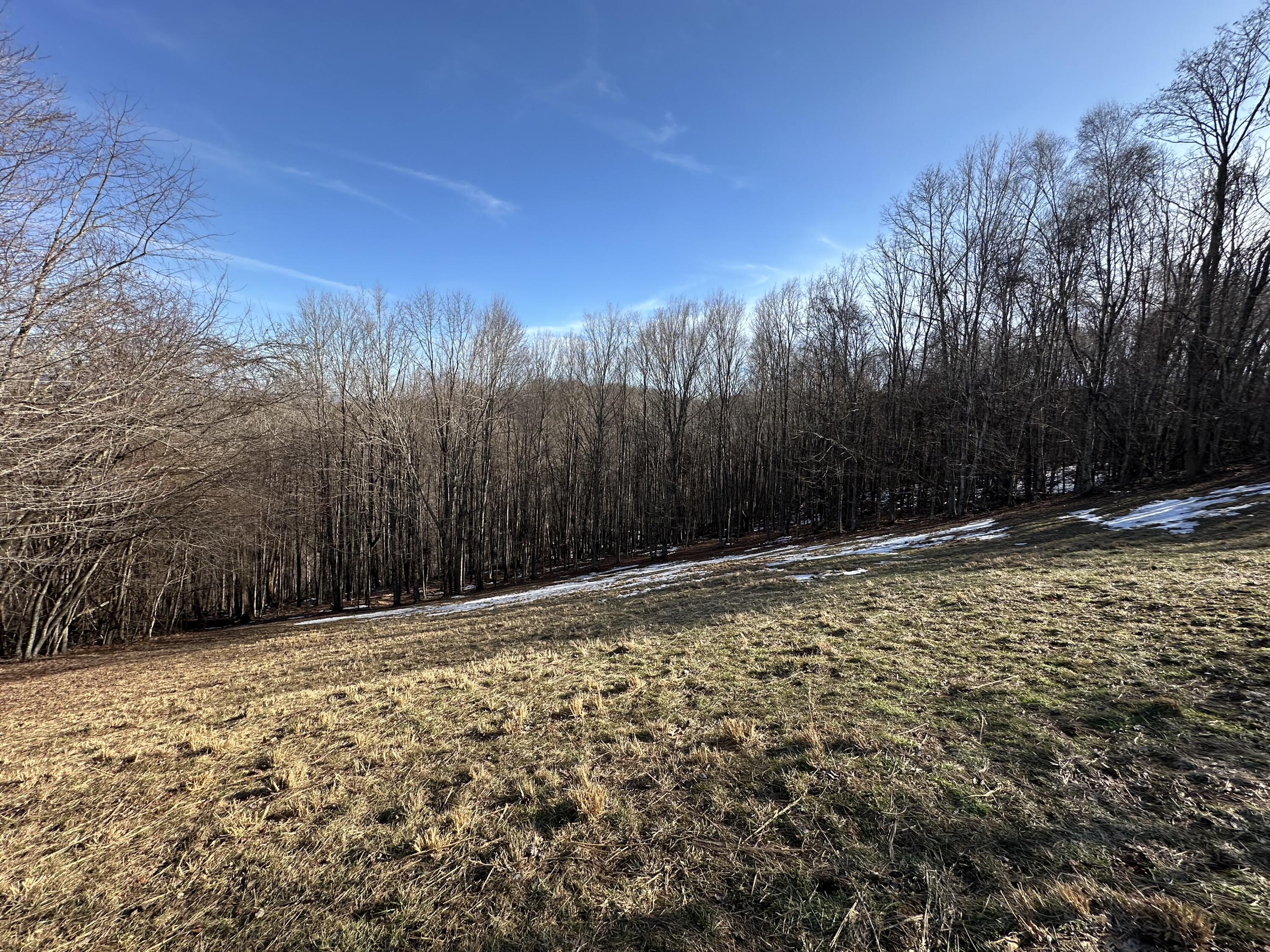 1399 Russell Scott Rd, Hillsboro, West Virginia image 13