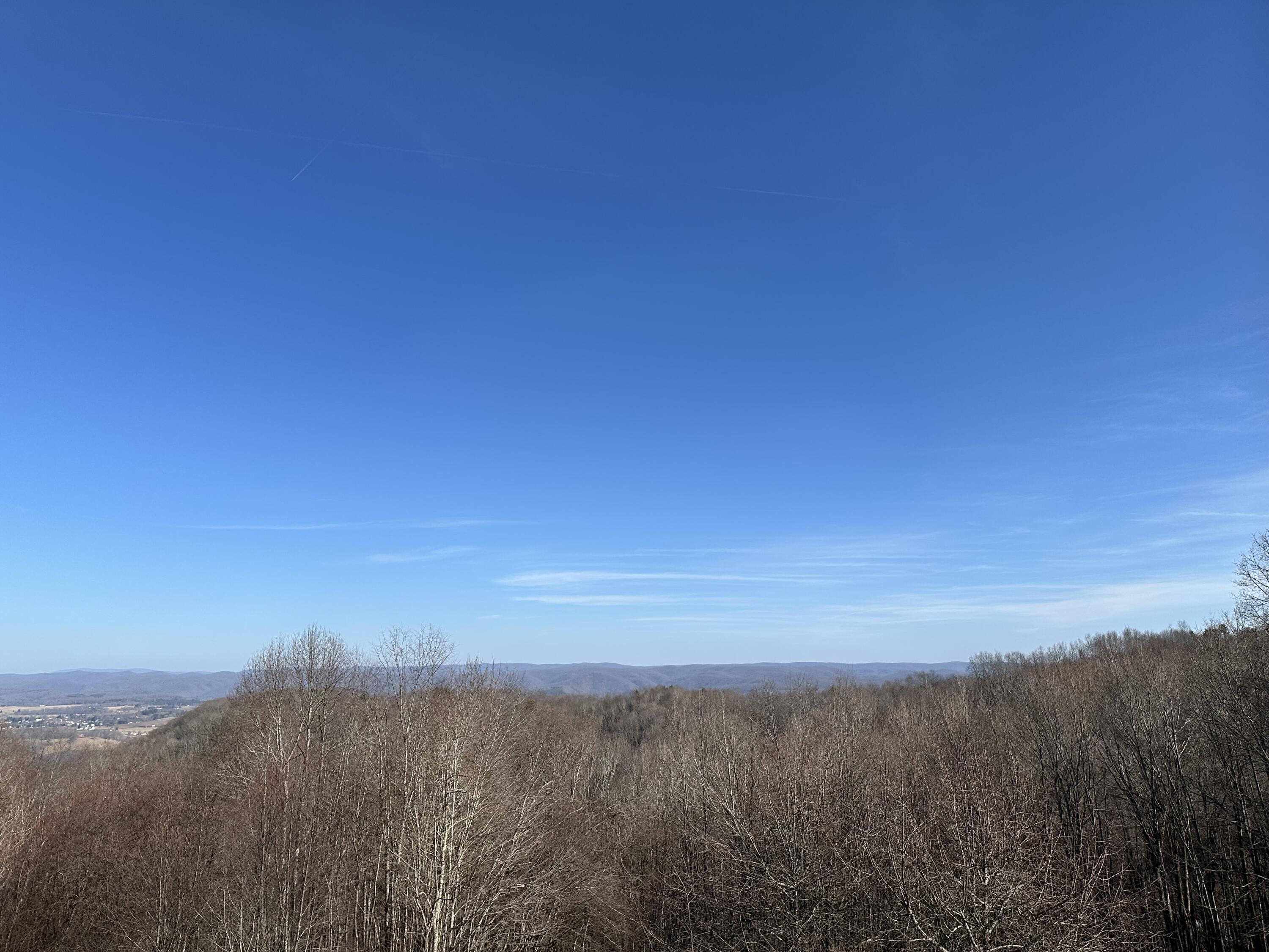 1399 Russell Scott Rd, Hillsboro, West Virginia image 6