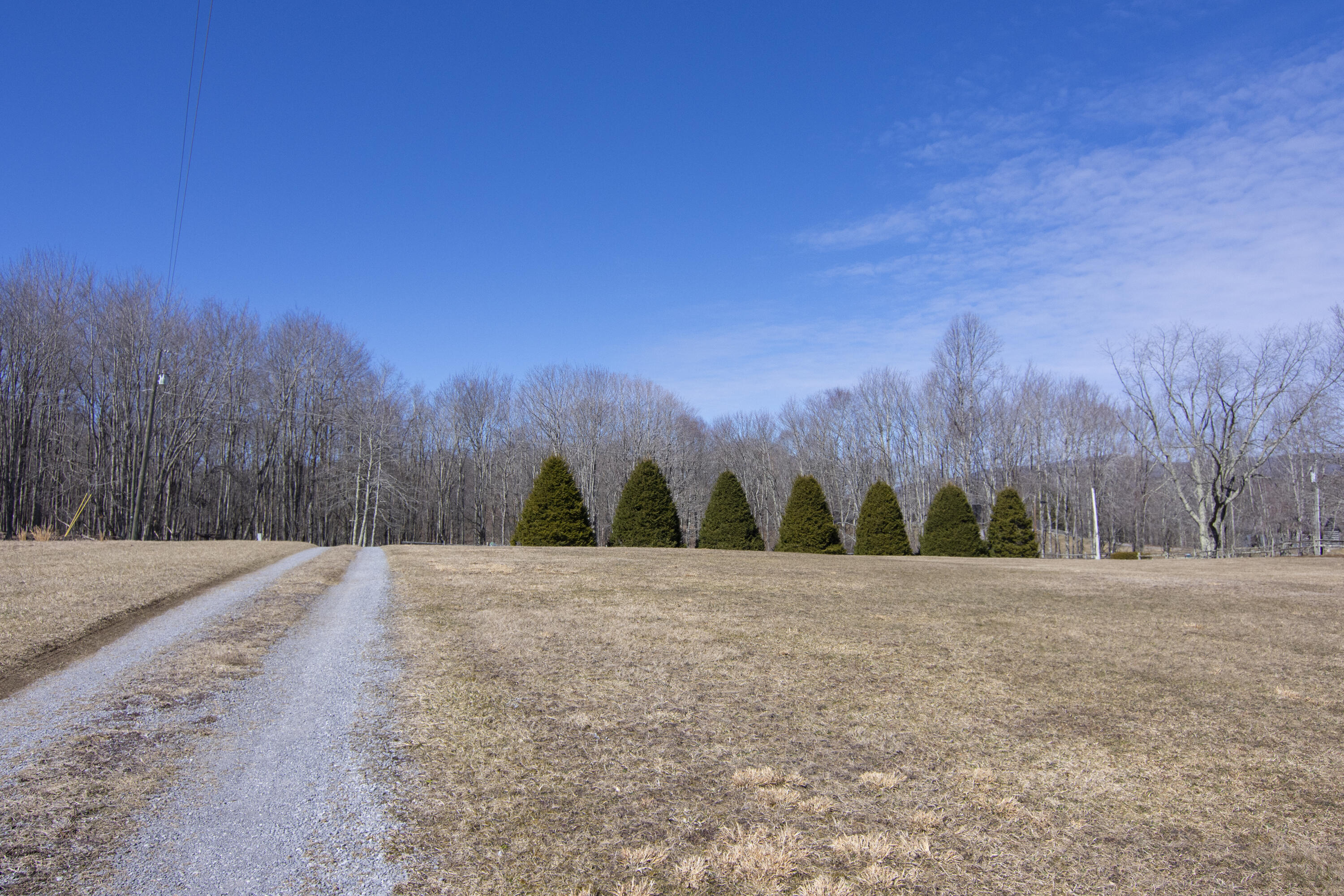 1399 Russell Scott Rd, Hillsboro, West Virginia image 15