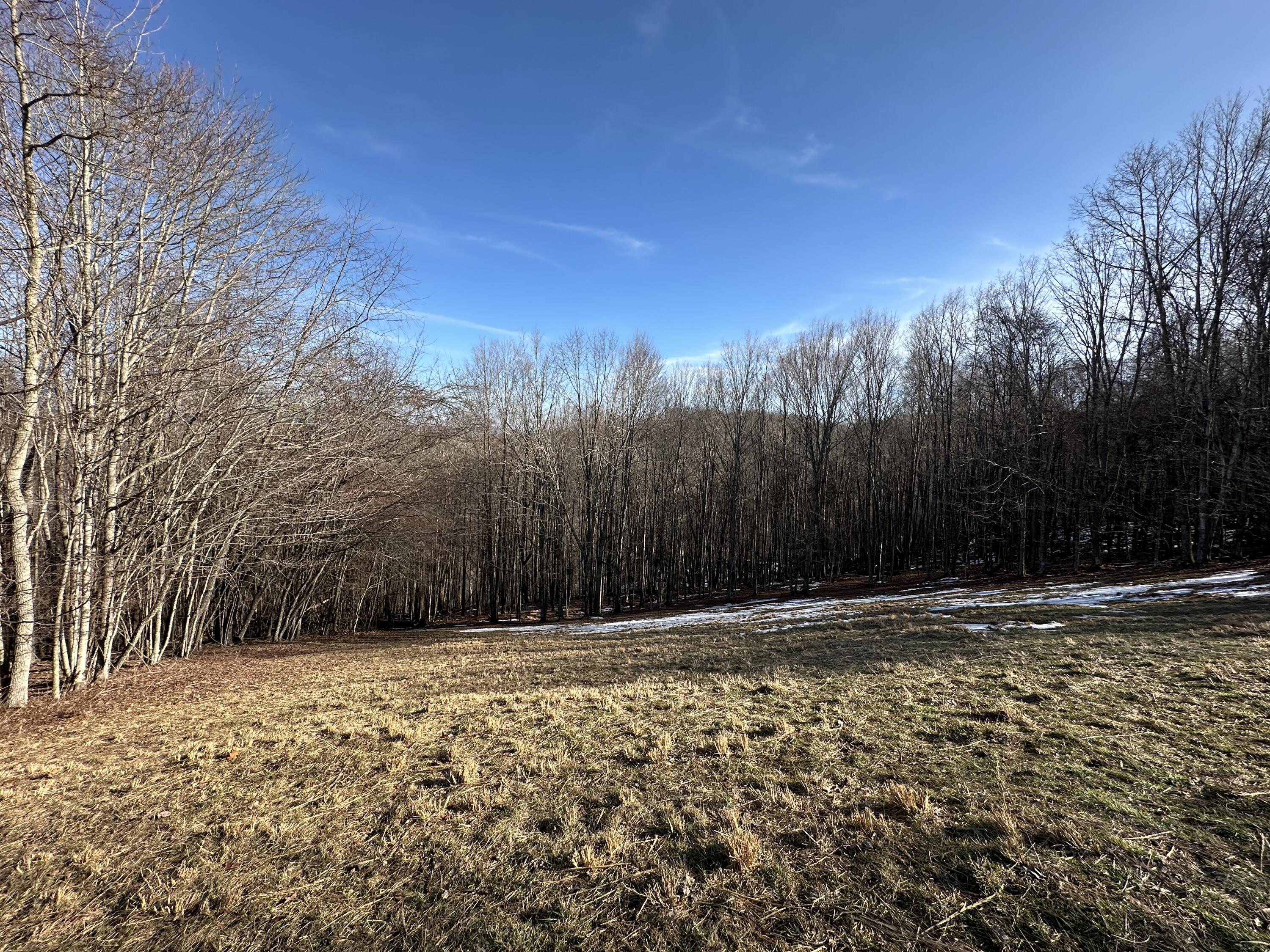 1399 Russell Scott Rd, Hillsboro, West Virginia image 12