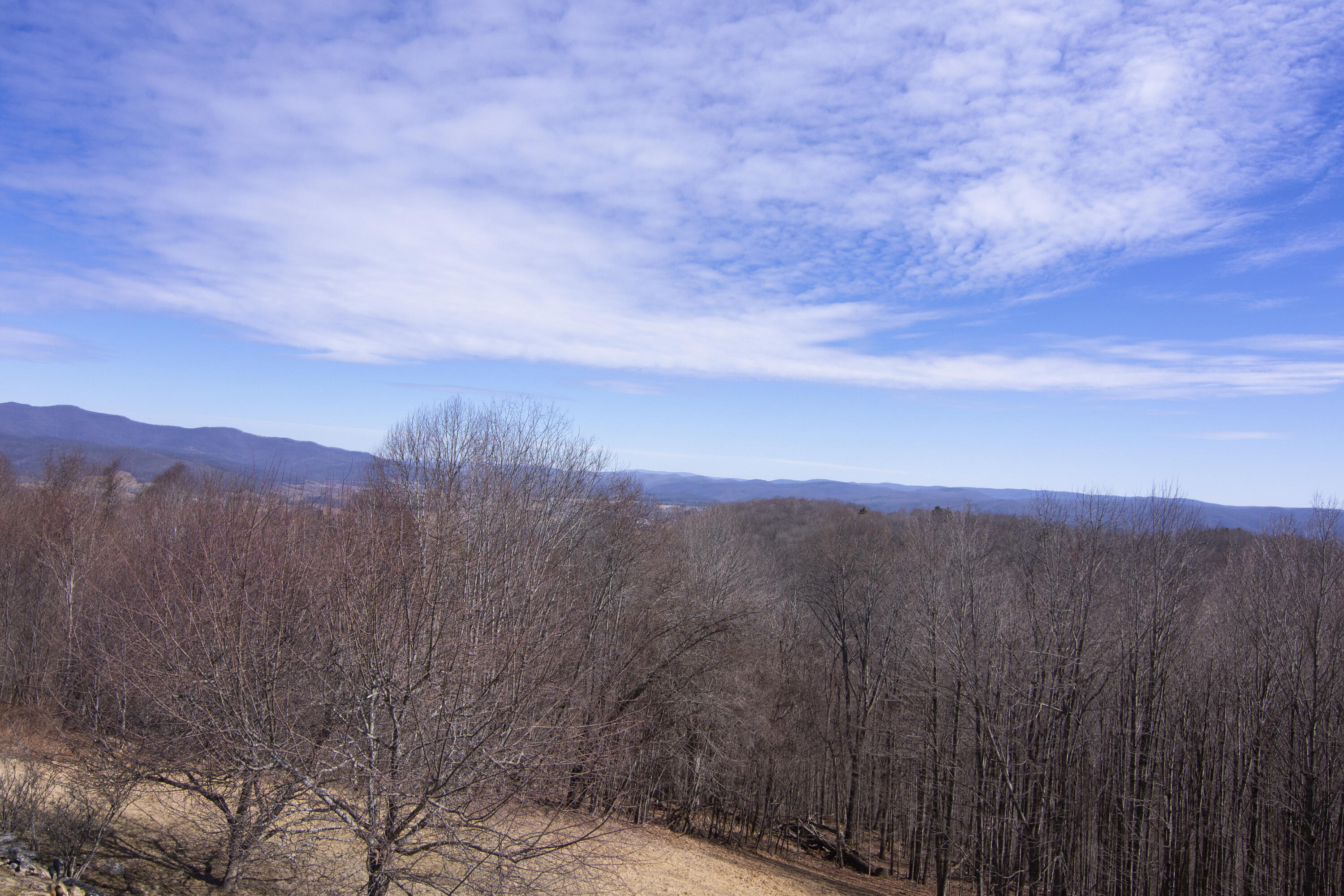 1399 Russell Scott Rd, Hillsboro, West Virginia image 27