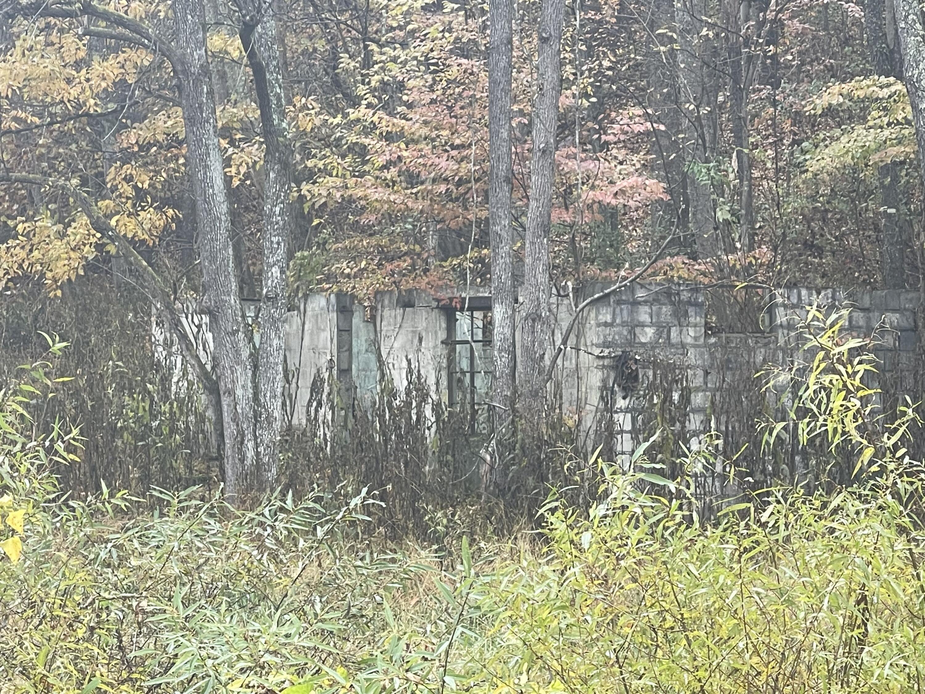 100 Drakes Run Rd, Mannington, West Virginia image 3