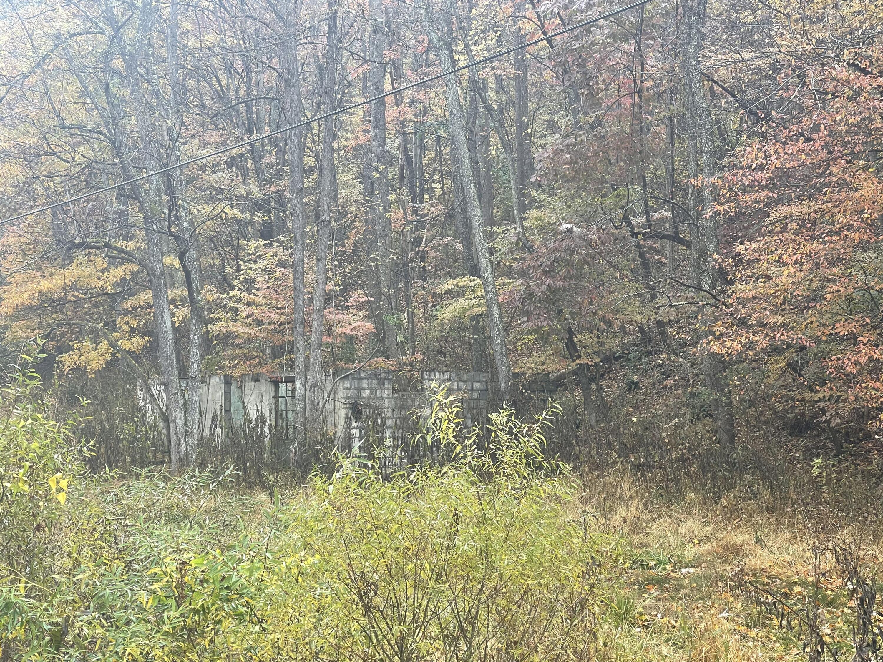 100 Drakes Run Rd, Mannington, West Virginia image 1
