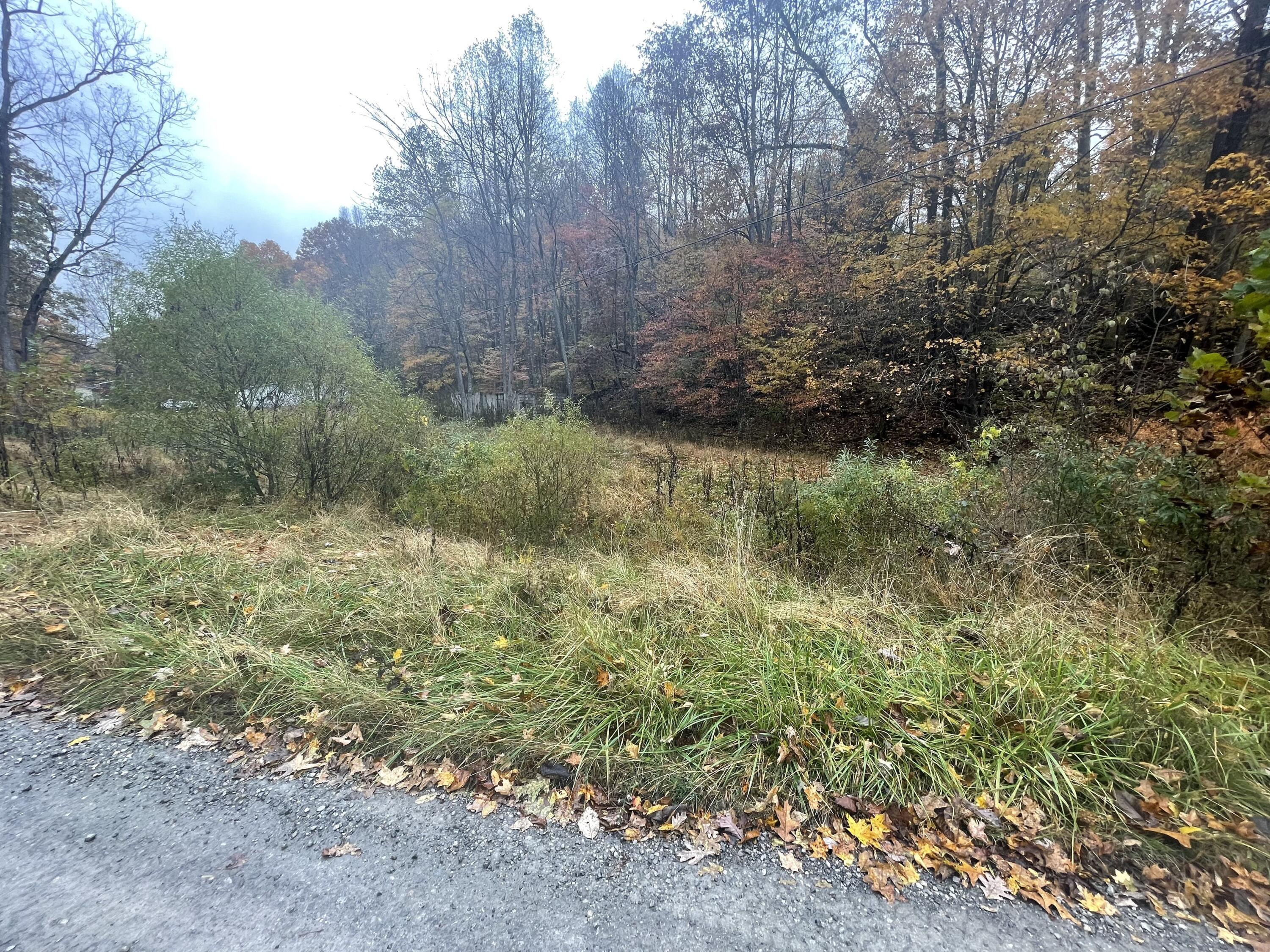 100 Drakes Run Rd, Mannington, West Virginia image 5