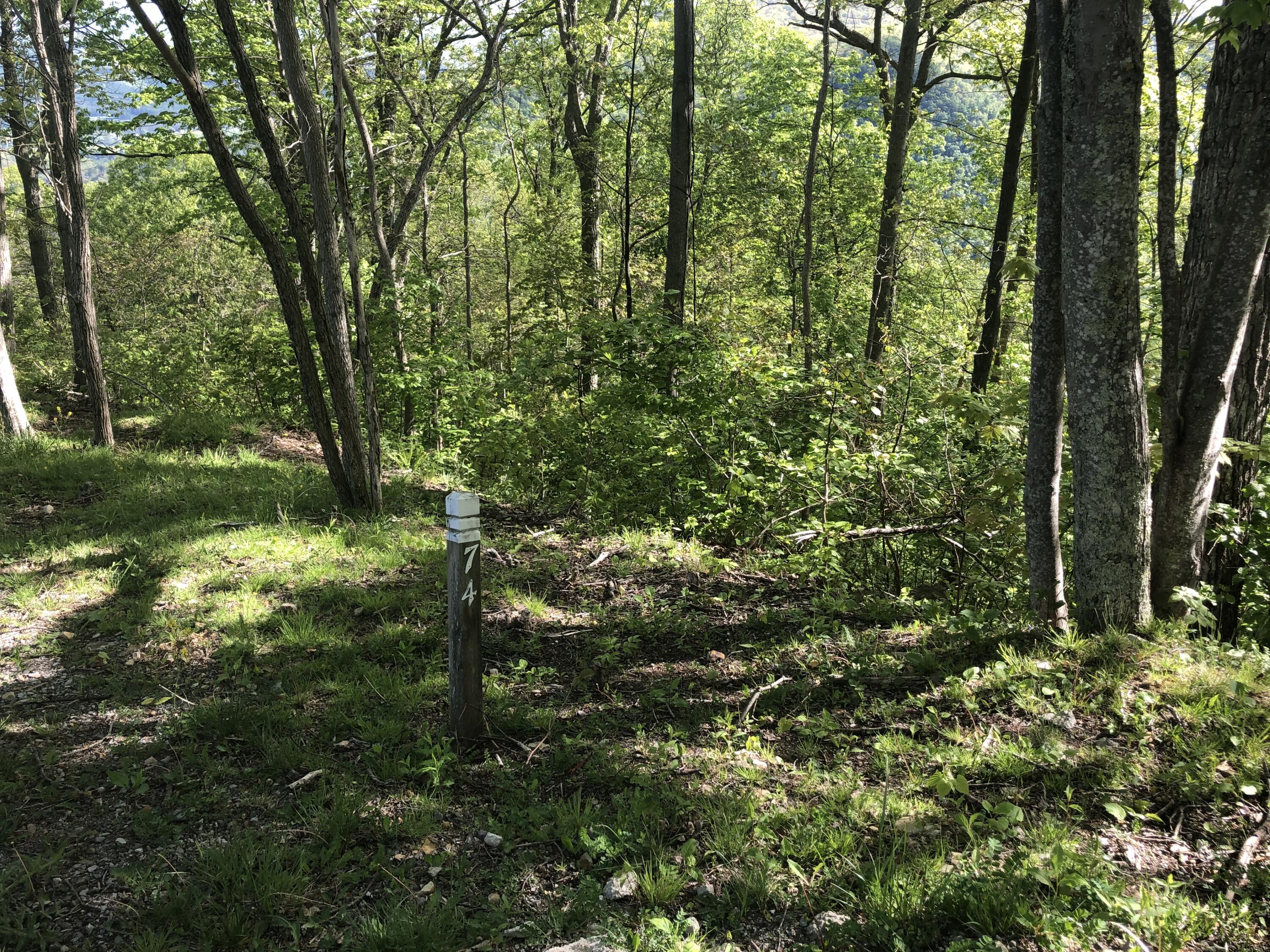 Lot 74 The Retreat, Caldwell, West Virginia image 3