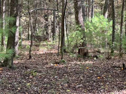 Vacant Land For Sale - Asbury Trace<br/> Greenbrier County, Lewisburg, WV 24910