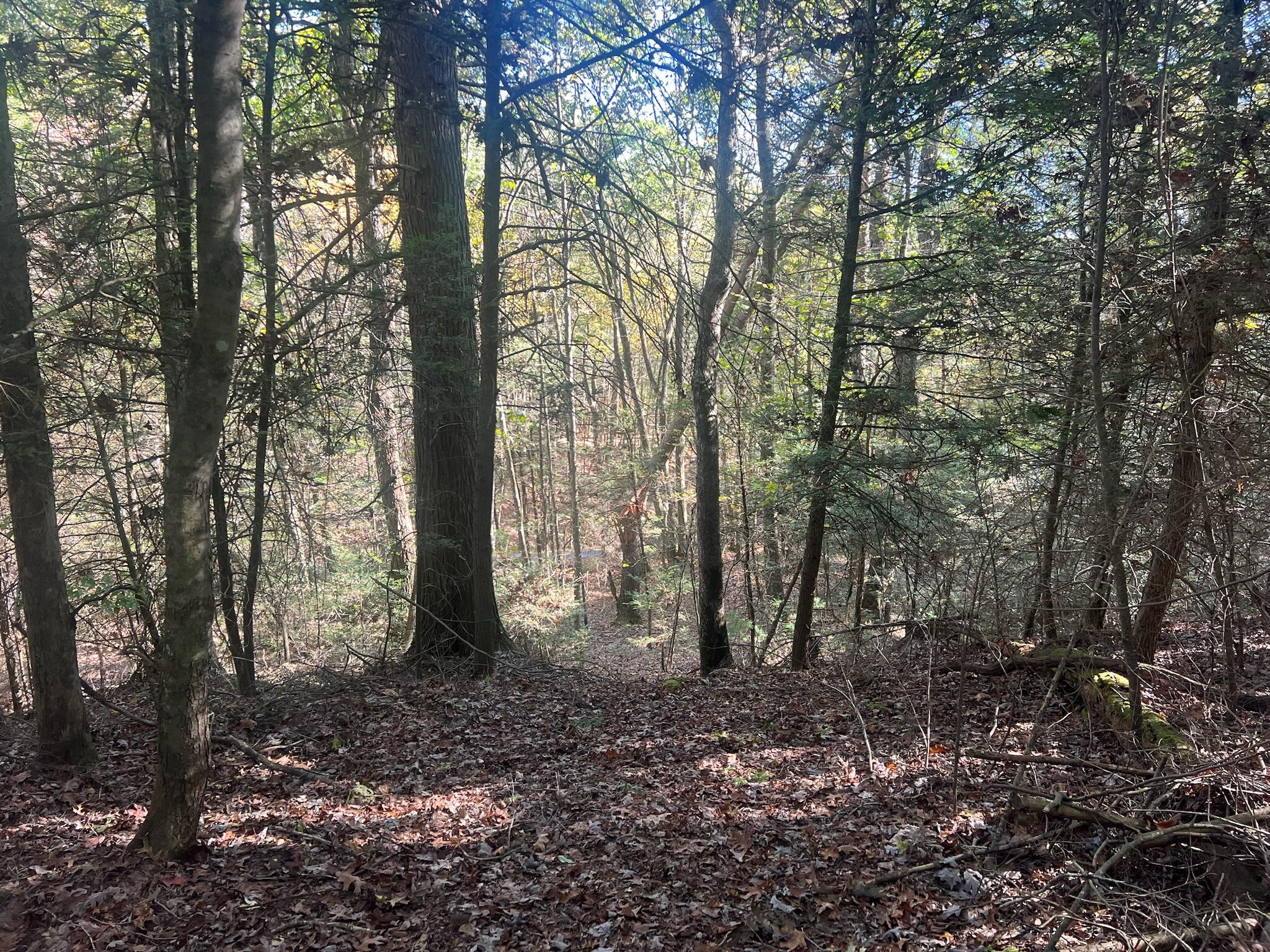 Old Asbury Trace #LOT 24, Lewisburg, West Virginia image 5