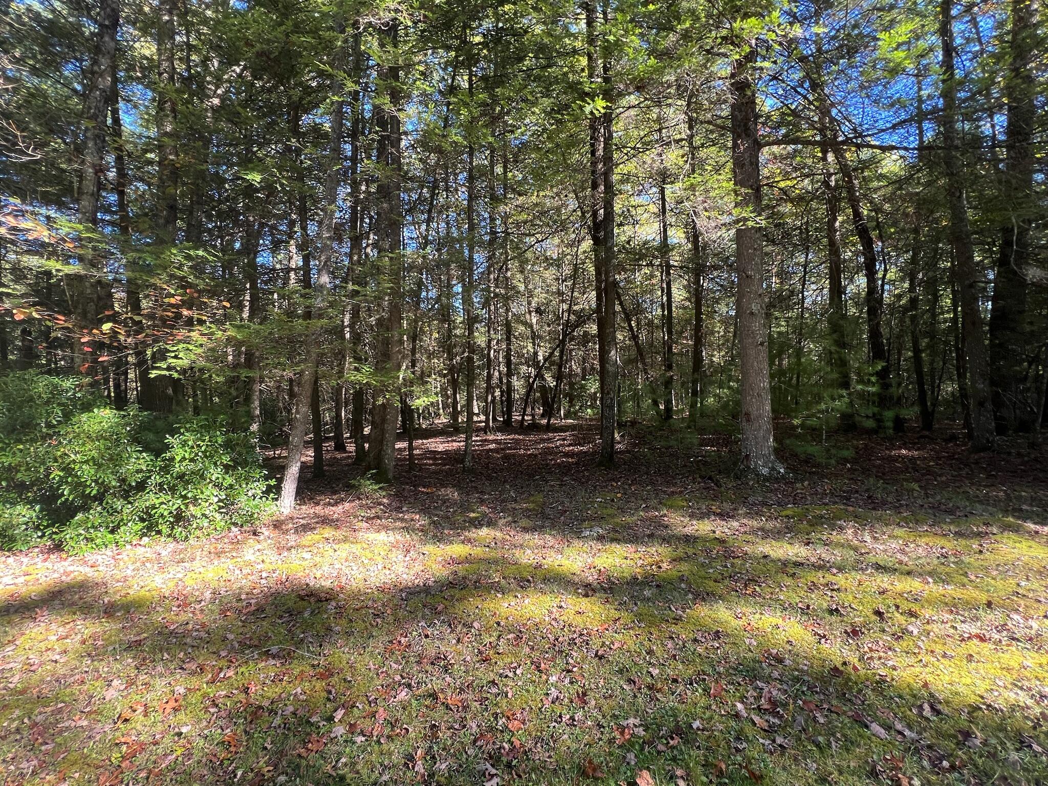 Old Asbury Trace #LOT 24, Lewisburg, West Virginia image 17