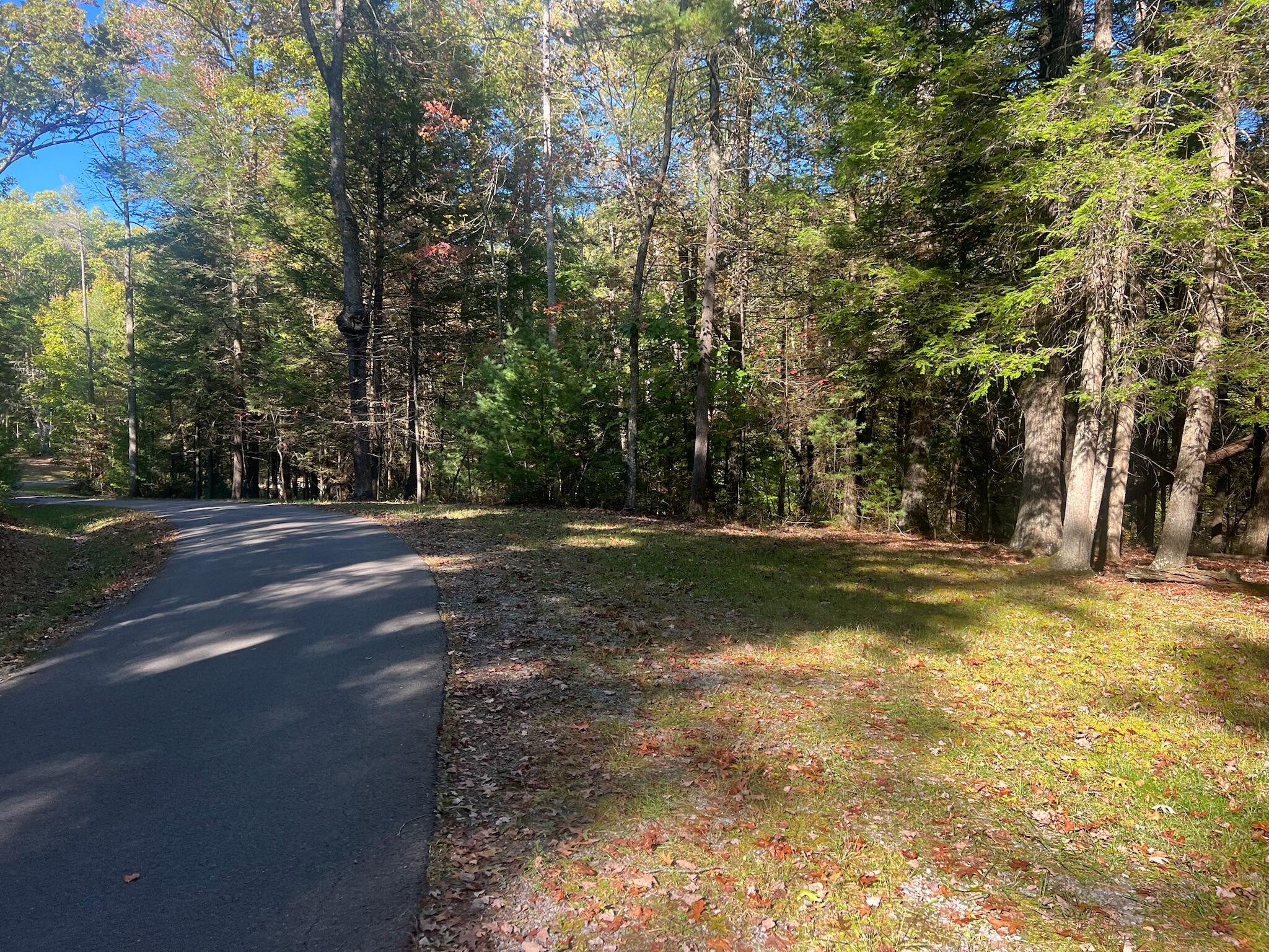 Old Asbury Trace #LOT 24, Lewisburg, West Virginia image 2