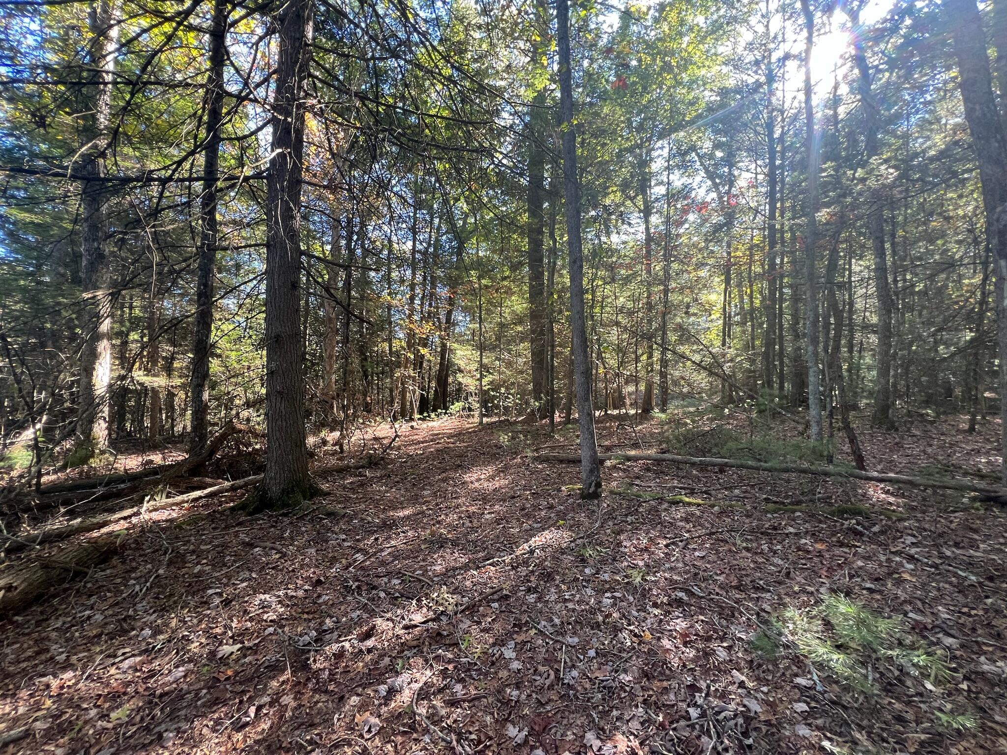 Old Asbury Trace #LOT 24, Lewisburg, West Virginia image 7