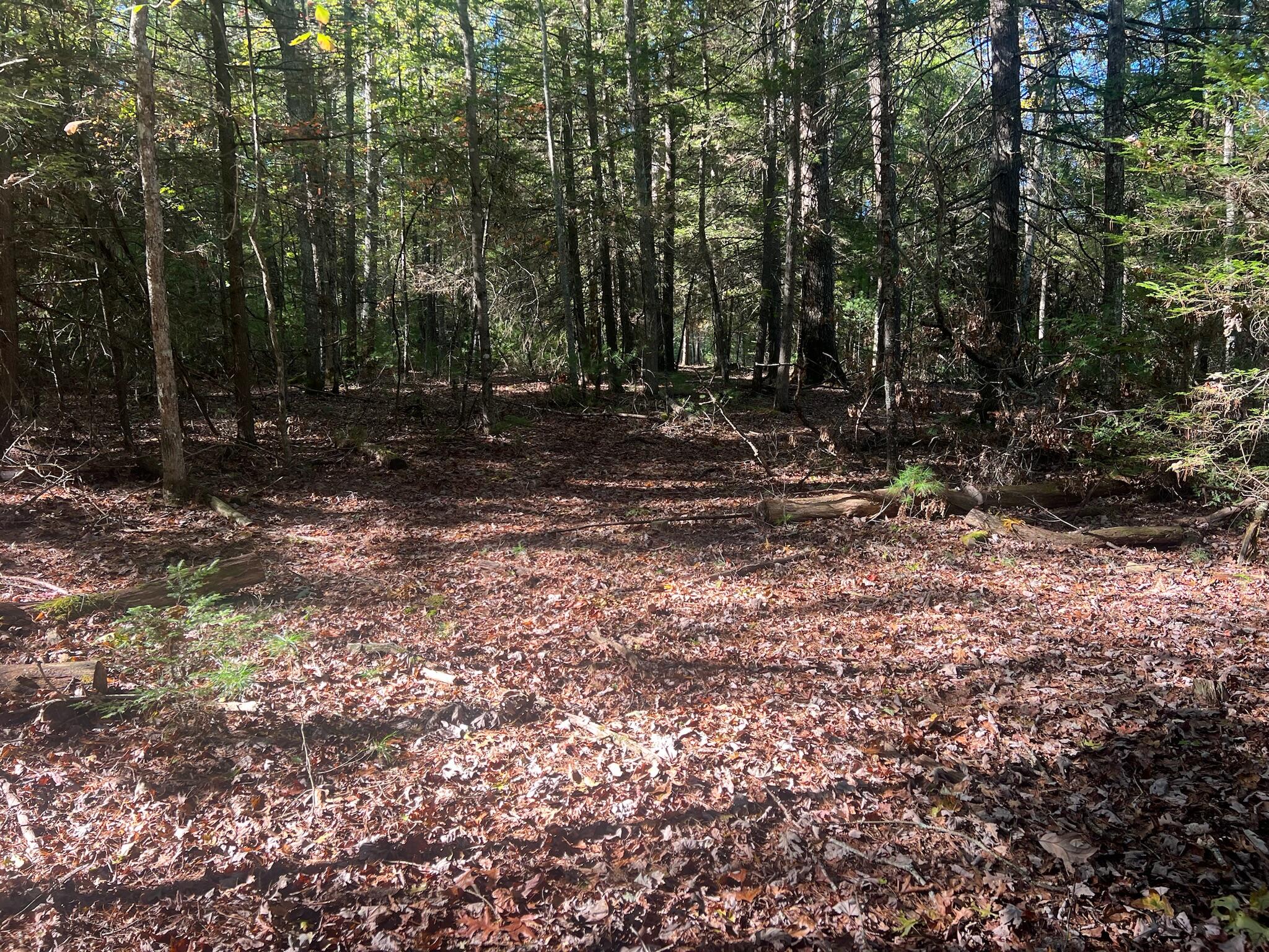 Old Asbury Trace #LOT 24, Lewisburg, West Virginia image 4