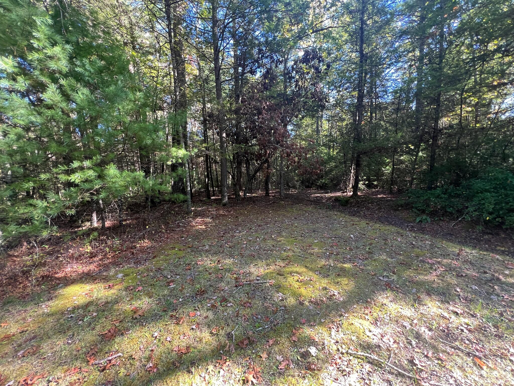 Old Asbury Trace #LOT 24, Lewisburg, West Virginia image 14