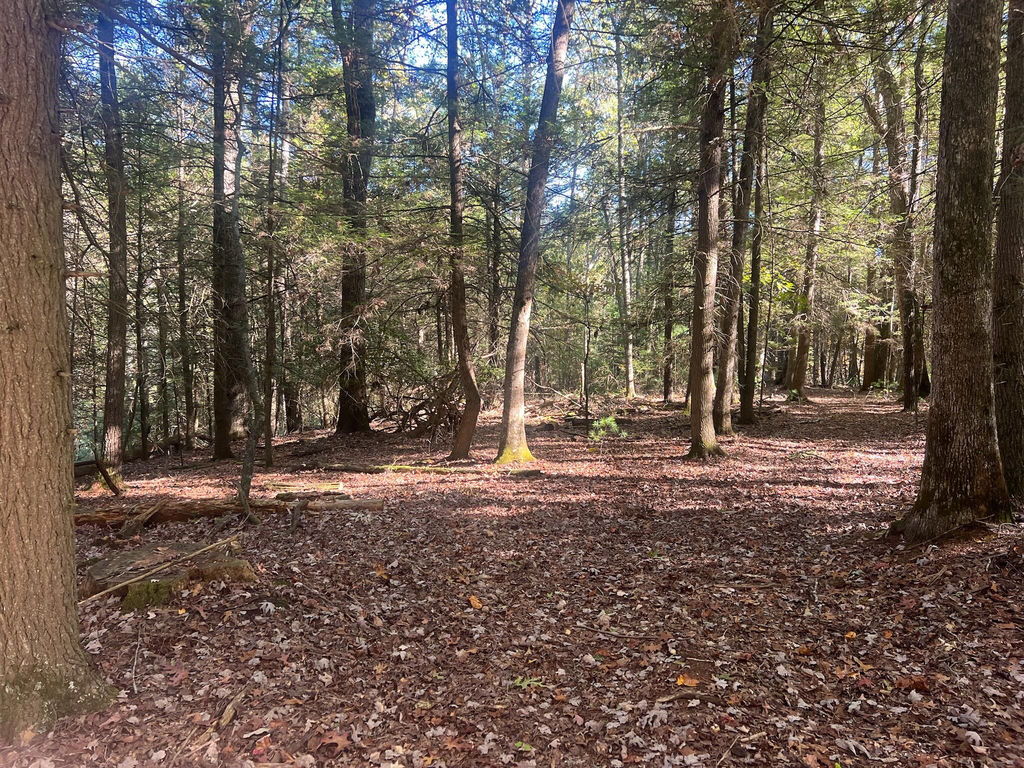 Old Asbury Trace #LOT 24, Lewisburg, West Virginia image 10