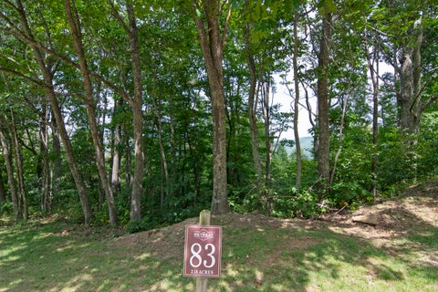 Vacant Land For Sale - LOT 83 White Rock Trail<br/> Greenbrier County, Caldwell, WV 24925