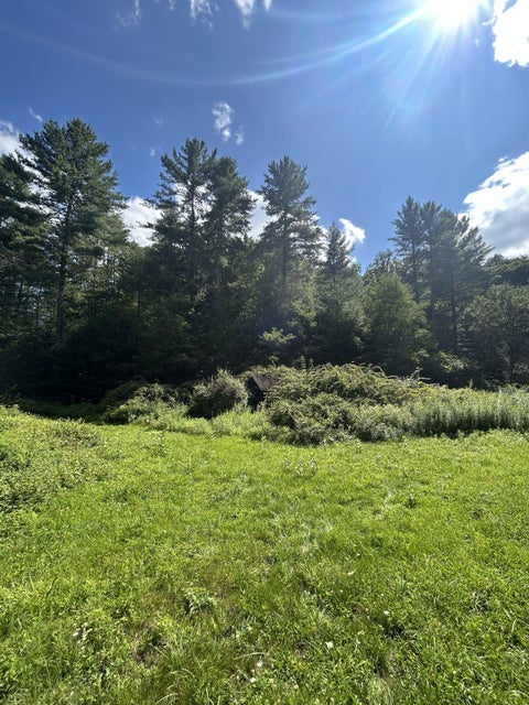 Homes For Sale - 540 Lost Bottom Run Rd<br/> Marlinton, WV 24954