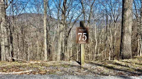 Vacant Land For Sale - LOT #75 White Rock Trail<br/> Greenbrier County, Caldwell, WV 24925