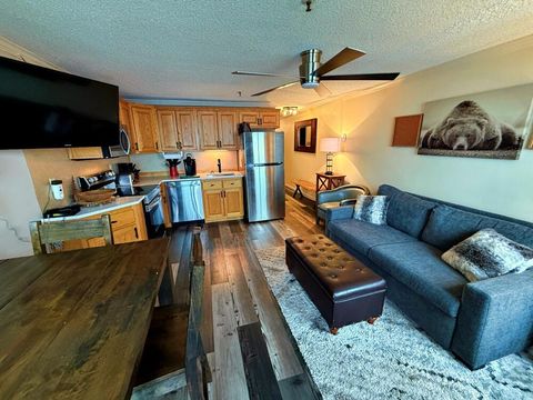 Homes For Sale - 362 Mountain Lodge<br/> Snowshoe, WV 26209