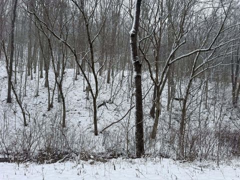 Vacant Land For Sale - 2600 Jordan Creek Rd<br/> Kanawha County, Elkview, WV 25071