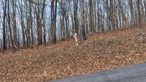 Vacant Land For Sale - LOT 142 Withrow Landing<br/> Caldwell, WV 24925