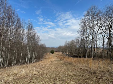 Vacant Land For Sale - 148 Moore Rd<br/> Greenbrier County, Ronceverte, WV 24970