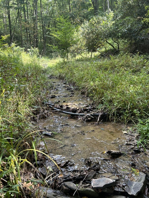 Vacant Land For Sale - 230 Little River Retreat Rd<br/> Pocahontas County, Bartow, WV 24920