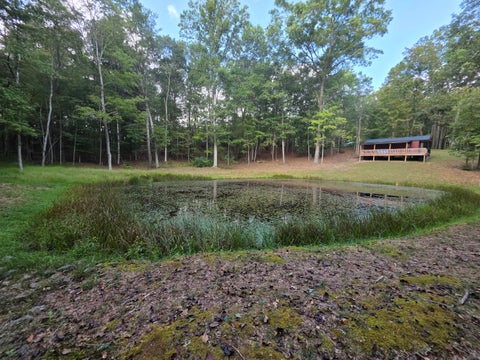 Vacant Land For Sale - TBD White Pine Lane<br/> Greenbrier County, Frankford, WV 24938